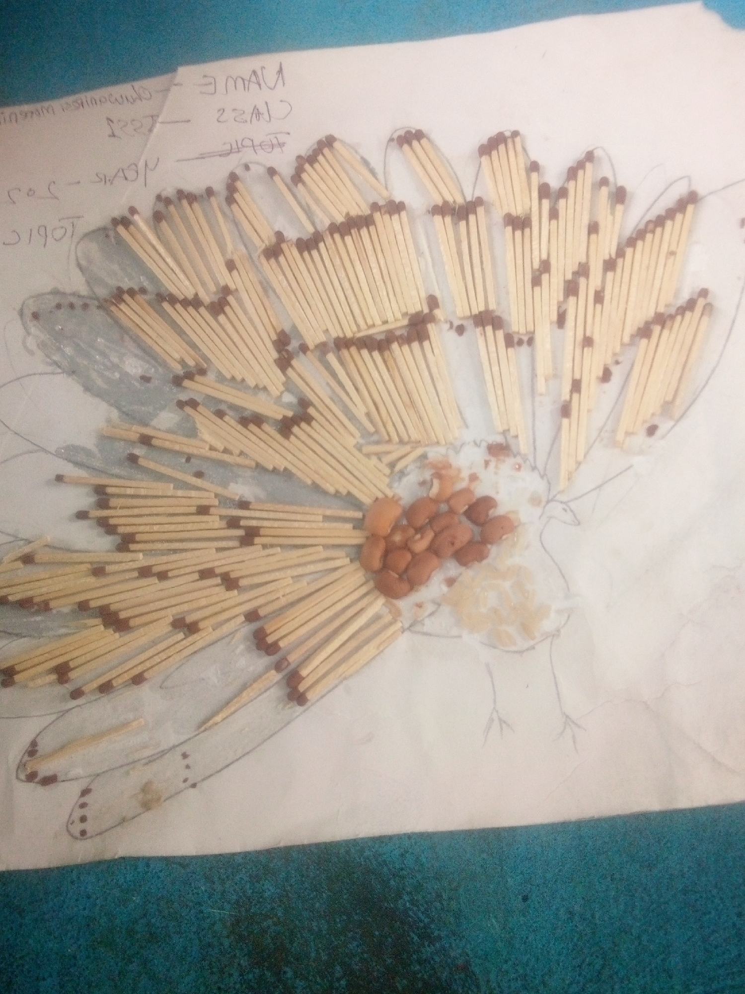 Here is a detailed description of the image:
The image appears to be a student's art project, likely from a school assignment. The topic, class, and name are written in reverse (mirrored) at the top left corner of the paper. The artwork is a drawing of a bird, possibly a peacock, embellished with various materials. Matchsticks are arranged to form the outer feathers and part of the body, radiating outward from the center. A cluster of brown beans or seeds are used to fill in a central part of the bird's body. A lighter-colored granular material is scattered around the beans. The drawing is on a sheet of white paper, likely an A4 size, which is placed on a teal or turquoise surface. The entire presentation appears slightly blurred and the lighting is uneven.