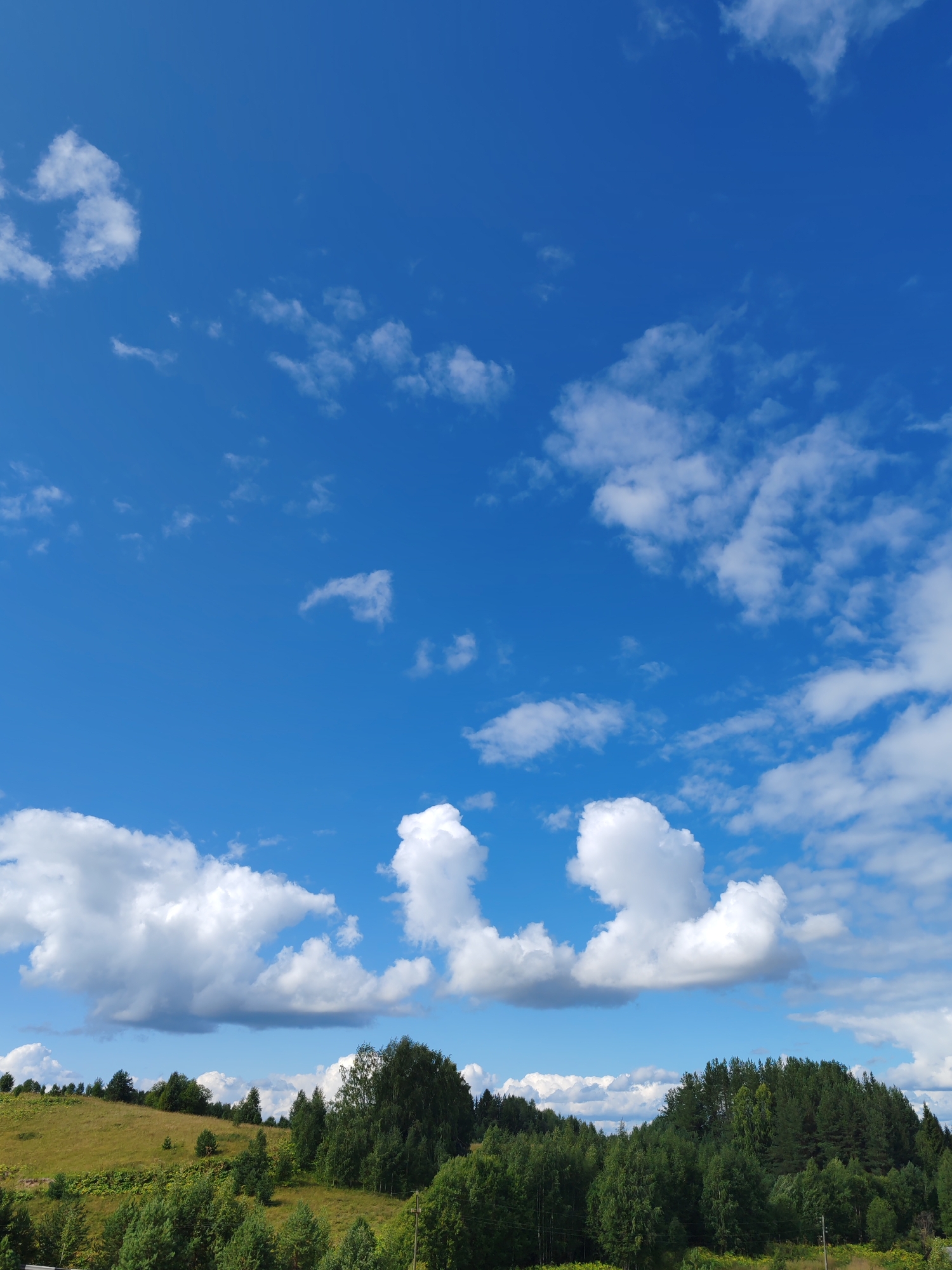 The image depicts a vast expanse of a bright blue sky dotted with scattered white cumulus clouds. The lower portion of the image features a lush green landscape composed of rolling hills covered in grass and dense patches of various trees. The trees are predominantly evergreen, forming a thick forest that extends across the horizon. In the foreground, there are glimpses of smaller bushes and vegetation. The scene appears to be a natural, undeveloped area, possibly a rural or undeveloped part of the city of Chukhlem, Russia, given the presence of evergreen forests and rolling terrain. There are no people or visible man-made structures apart from what appears to be a utility pole and some wires on the right side of the image.