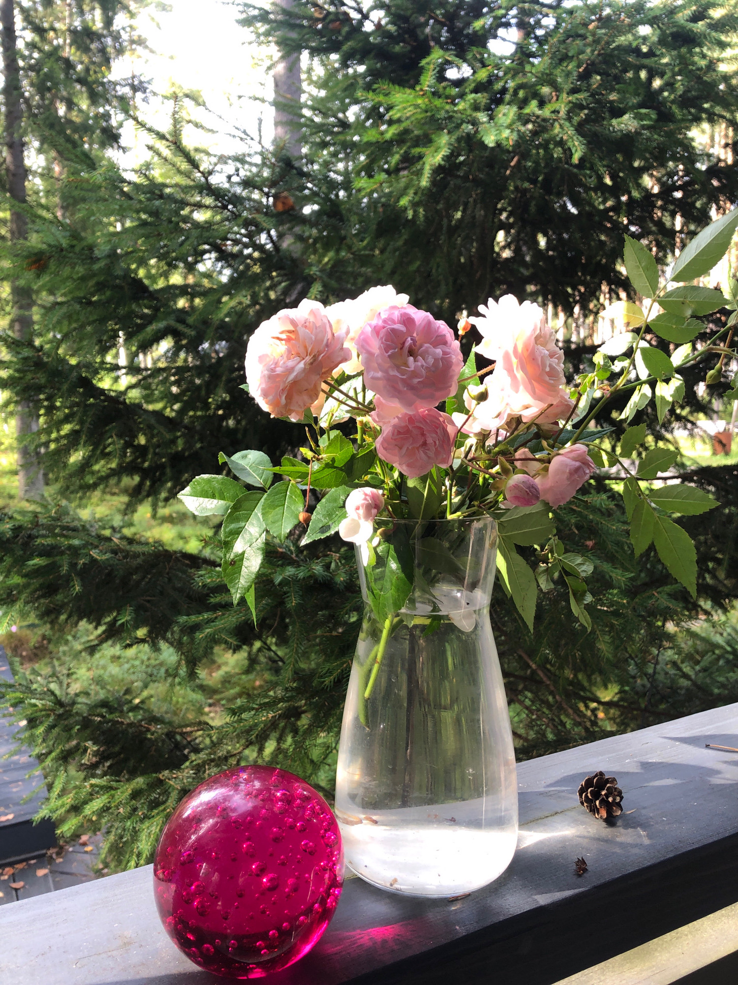 An outdoor still life features a clear glass vase filled with pale pink roses and green leaves, placed on a grey wooden surface. To the left of the vase, a translucent pink glass orb with embedded bubbles sits on the surface. To the right of the vase, a pinecone rests on the wood. The background is dominated by the lush green foliage of evergreen trees, suggesting a natural, possibly forested, environment. The lighting indicates daytime, with sunlight filtering through the trees. The overall scene evokes a peaceful, natural setting, possibly a balcony or patio. The location is unspecified, but it is identified as Unknown, Russia.