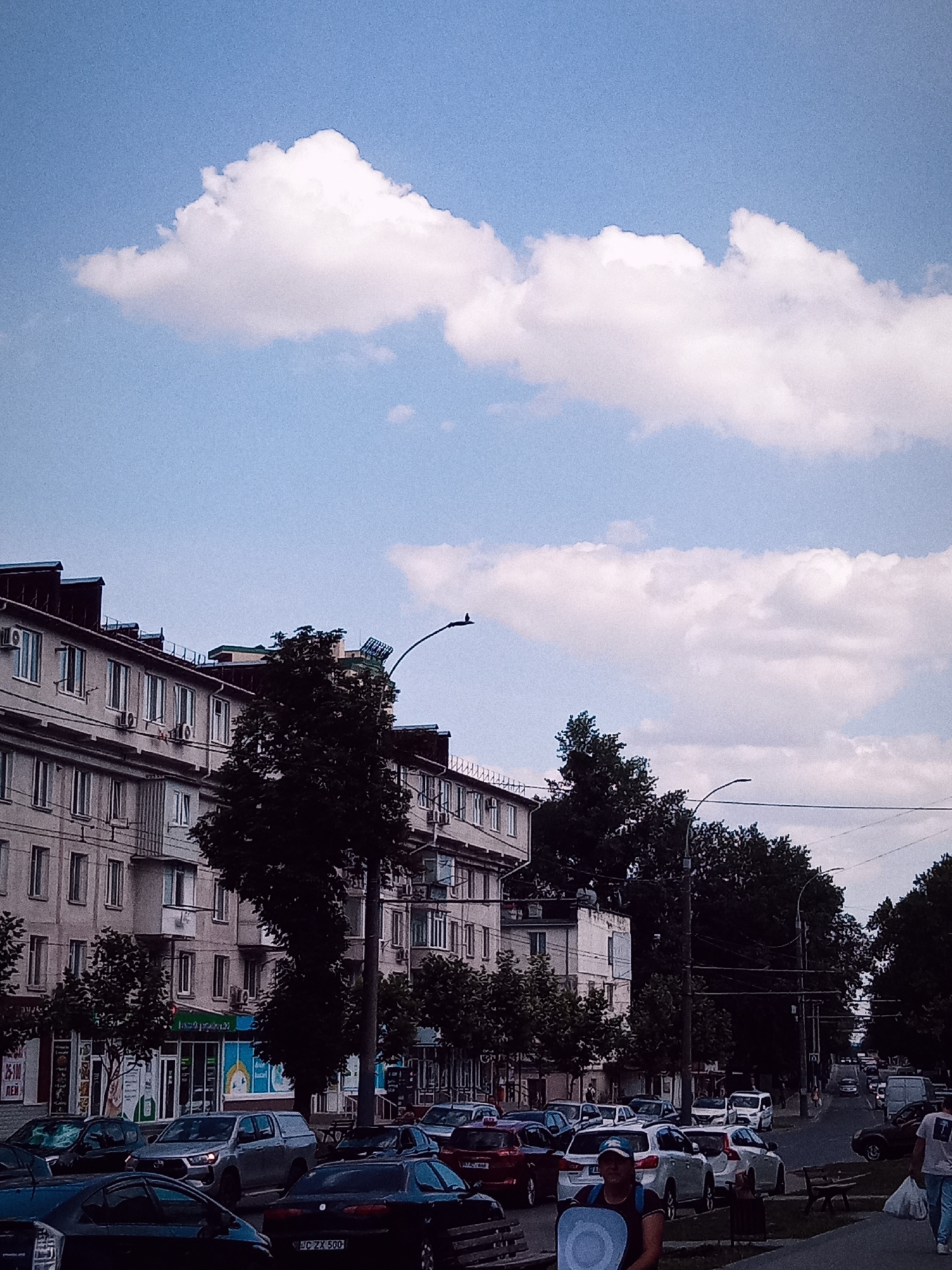 Memory