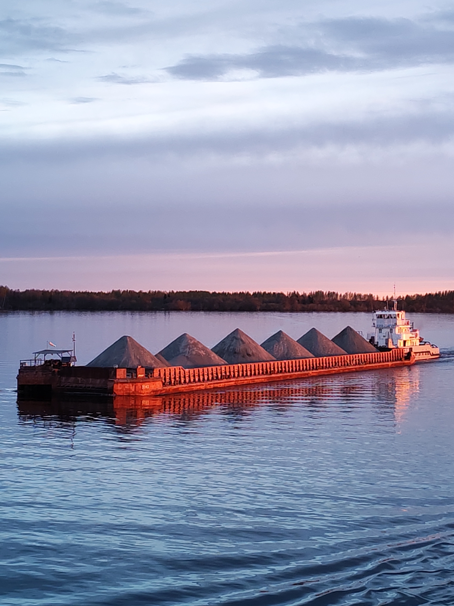 A long barge with a tugboat is moving on a body of water, likely a river or large lake. The barge is laden with five large mounds of a dark granular material, possibly gravel or sand. The tugboat is white with several tiers and appears to be pushing or towing the barge. The water is rippled, and the scene is illuminated by a warm, early morning or late evening light. The sky above has layers of clouds with a hint of pink and purple hues, suggesting either sunrise or sunset. In the background, there is a line of trees along the shoreline. The location is likely Bereg, Russia, given the information provided, but this cannot be forensically confirmed from the image alone.