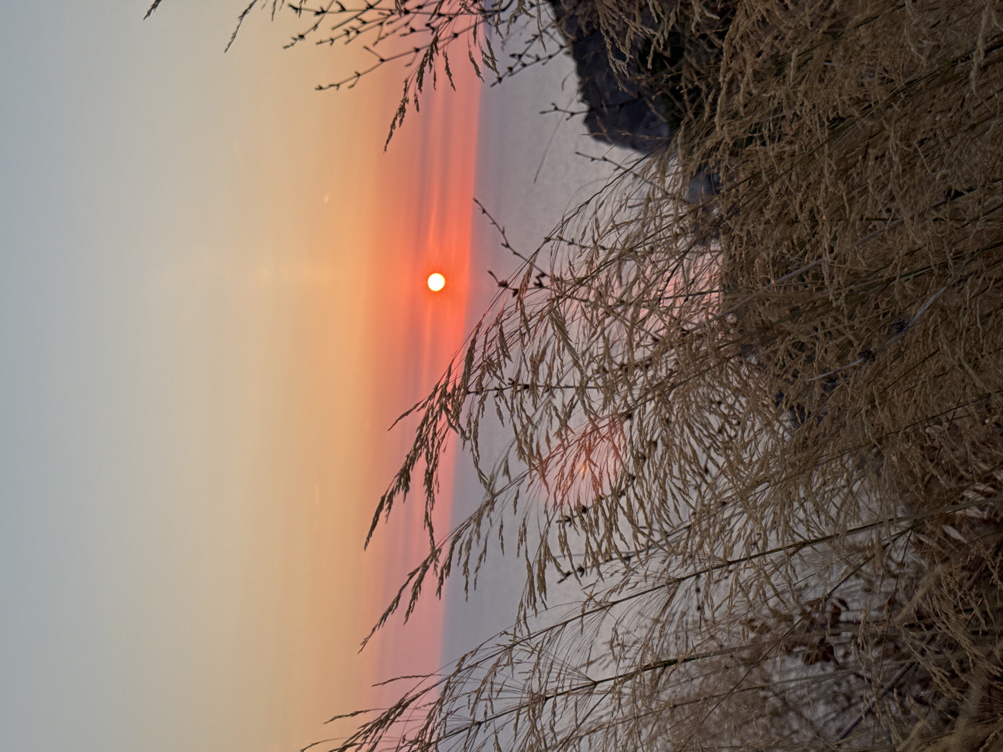This is a photograph taken at sunset in Donji Katun, Montenegro. The image shows a serene coastal landscape with tall, dry grass in the foreground obscuring parts of the view. The sun is a bright, orange orb low on the horizon, casting a warm glow across the sky, transitioning from a soft pink and orange near the sun to a pale blue at the top of the frame. The sea stretches out towards the horizon, appearing calm and reflecting the colors of the sunset. In the distance, a rocky outcropping is visible on the right side of the image. The overall impression is one of natural beauty and tranquility during a coastal sunset.