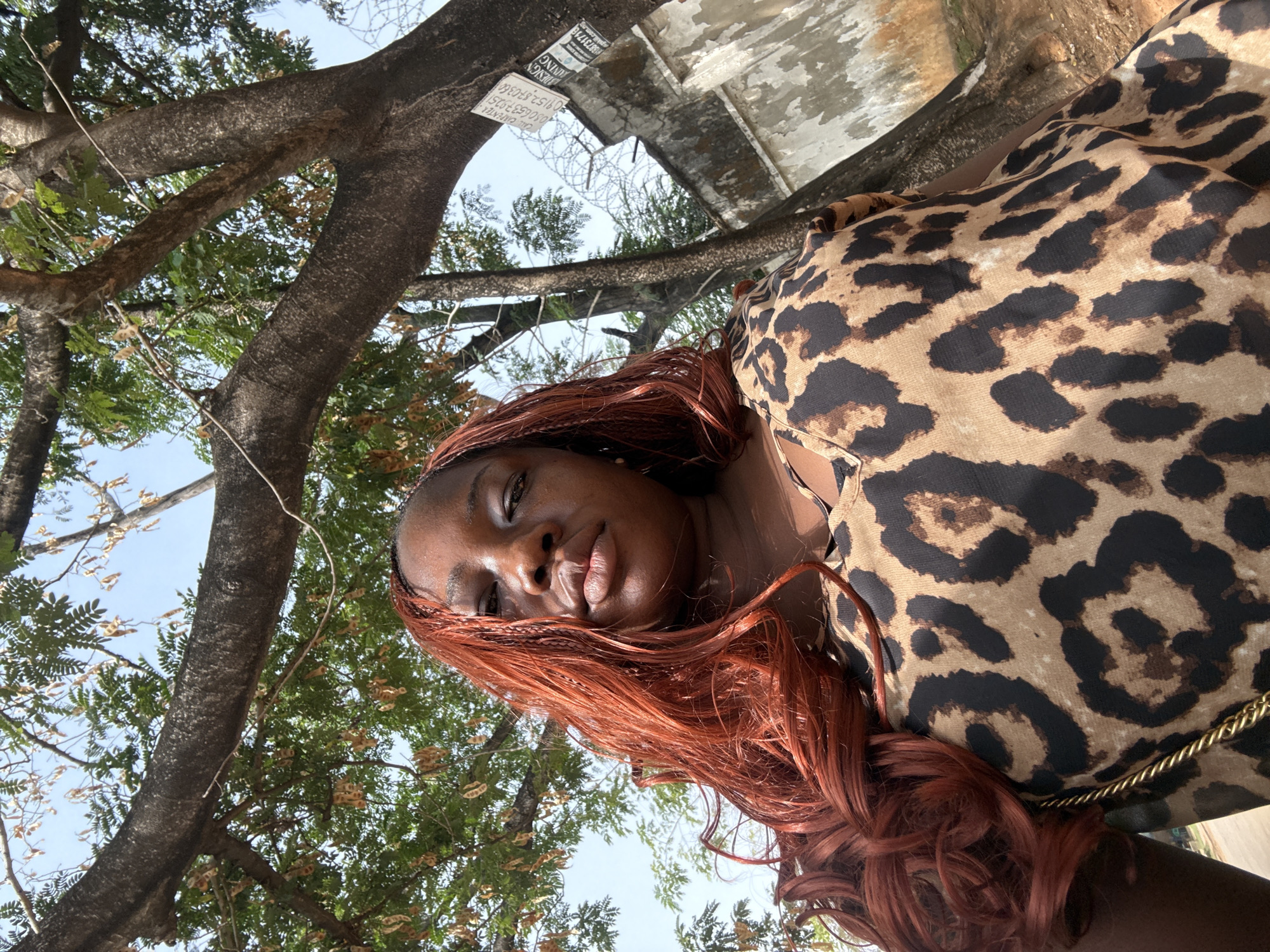 The image displays an outdoor, close-up portrait of a person with dark skin and long, reddish-brown hair, styled with braids at the roots and wavy extensions flowing down. She is wearing a leopard print top or dress, and a golden chain strap, possibly from a bag, is visible on her shoulder. The person looks directly at the camera with a relaxed, neutral expression and slightly parted lips.
The photo is taken from a low angle, looking upwards towards a bright, clear sky. Lush green tree foliage and thick, textured tree trunks are prominent in the background, with some dry seed pods hanging from the branches. In the upper background, a weathered concrete structure is discernible, to which several pieces of paper or stickers are affixed. Partial text visible on these includes the word "DESIGN" and numerical sequences resembling phone numbers, such as "09152..." and "08066373131". Barbed wire can also be seen above the concrete structure.
The scene is brightly illuminated by natural daylight, suggesting it was taken during midday or early afternoon under a clear sky. The setting appears to be an urban or semi-urban outdoor space, possibly in Abuja, Nigeria, given the mix of natural elements and man-made structures with informal signage. The original image was rotated 90 degrees counter-clockwise.