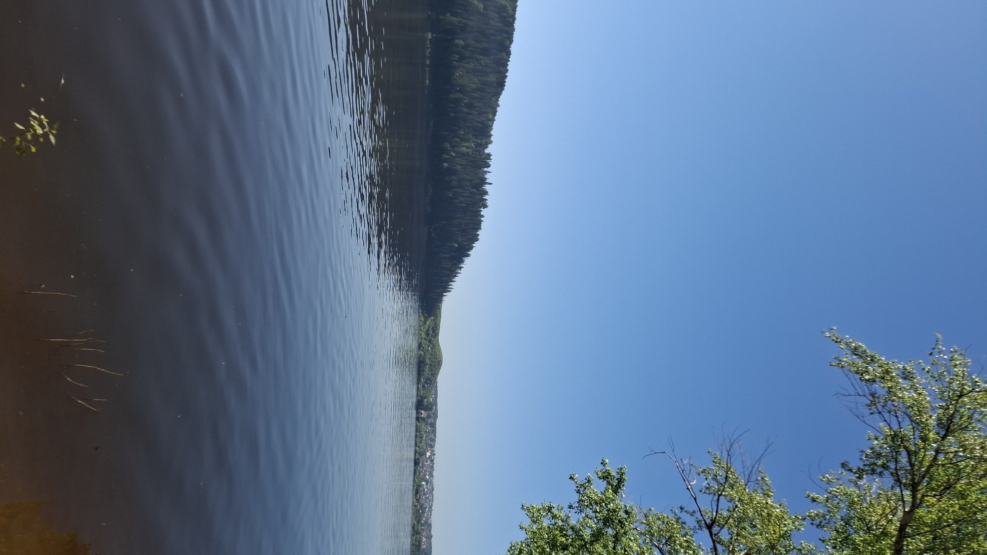 The image shows a view of a body of water, likely a lake or river, in Noviy, Russia. The water is dark and calm, with slight ripples on the surface. A shoreline is visible on the far side, covered in a dense forest. A small settlement or collection of buildings is visible near the shoreline in the distance. The sky is clear and blue. In the foreground, trees with green leaves are partially visible. The image is taken from a slightly low angle, looking out over the water toward the distant treeline.