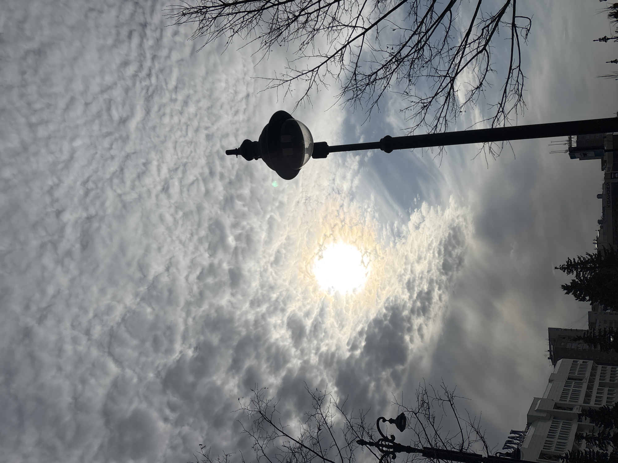 The image, taken from a low angle, captures a sky filled with altocumulus clouds, with the sun shining through a gap in the cloud cover. Silhouetted against the sky are leafless tree branches and streetlights. A building is partially visible in the upper right corner. The location is Perm, Russia.