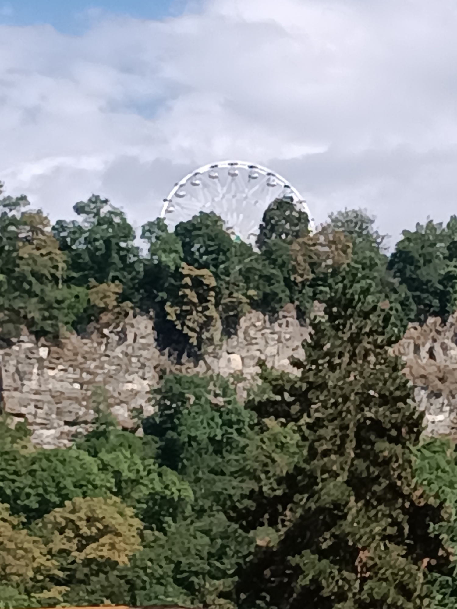 A Ferris wheel is visible behind a line of trees and a rocky cliff. The sky is partly cloudy. The Ferris wheel is white and appears to be in operation, with some of its gondolas visible. The trees are a mix of green and brown, indicating different species and possibly varying stages of leaf growth. The cliff face is rough and appears to be made of stone. The overall scene suggests an outdoor amusement park or scenic viewpoint located in the city of Borjomi, Georgia.