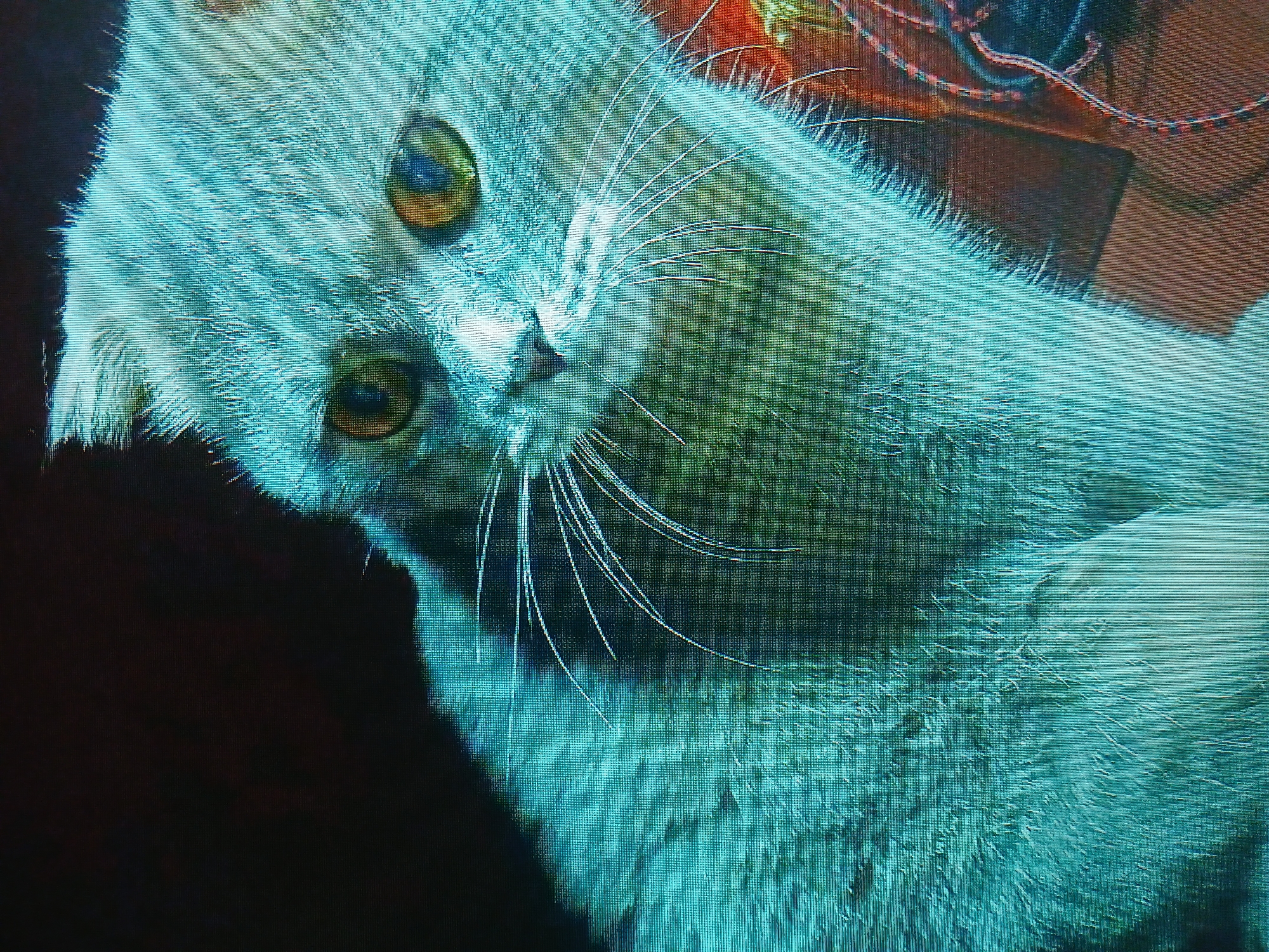 The image depicts a blue-toned photograph of a gray Scottish Fold cat with golden eyes. The cat is looking at the viewer with its head tilted. Its long, white whiskers are prominent. A blurry, indeterminate object with red and brown elements is visible in the background. The image has a slightly pixelated appearance. There is no visual information in the image to establish its location in Kamianske, Ukraine.