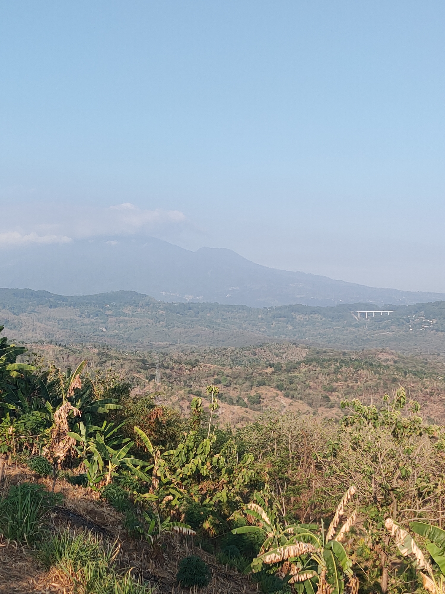 The image depicts a panoramic view of a hilly landscape, likely in the vicinity of Mluweh, Indonesia. In the foreground, lush green banana trees and various other vegetation dominate the scene, with some dry grasses and soil visible on a terraced slope. As the view recedes into the distance, the landscape transitions to rolling hills covered in dense foliage, appearing drier and browner. A significant structure, appearing to be a long, white bridge supported by piers, is visible in the middle ground, spanning across a valley or a section of the hilly terrain. In the far background, a hazy mountain range rises, with its peaks partially obscured by a light layer of clouds or atmospheric haze. The sky is a clear, pale blue, indicating daytime. The overall impression is of a rural or semi-rural environment with natural topography and infrastructure integrated within it. There are no people or animals visible in the image.