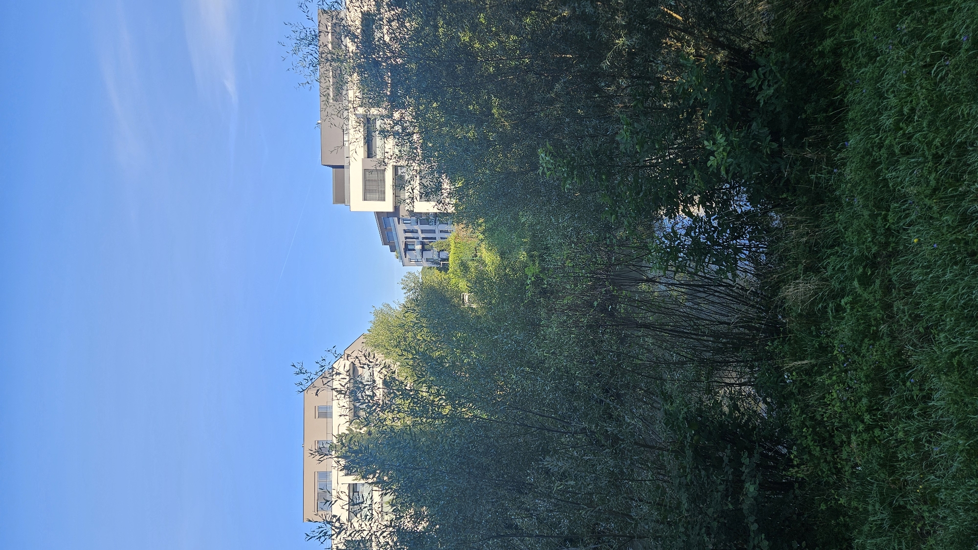 The image depicts a view of modern apartment buildings in Prešov, Slovakia, partially obscured by lush green trees and vegetation. The buildings are contemporary in design, featuring light-colored facades and flat roofs, suggesting a residential area. The foreground is dominated by dense foliage, with a body of water visible in the mid-ground, reflecting the blue sky. The sky itself is clear and bright, indicating fair weather. The scene conveys a sense of urban development integrated with nature.