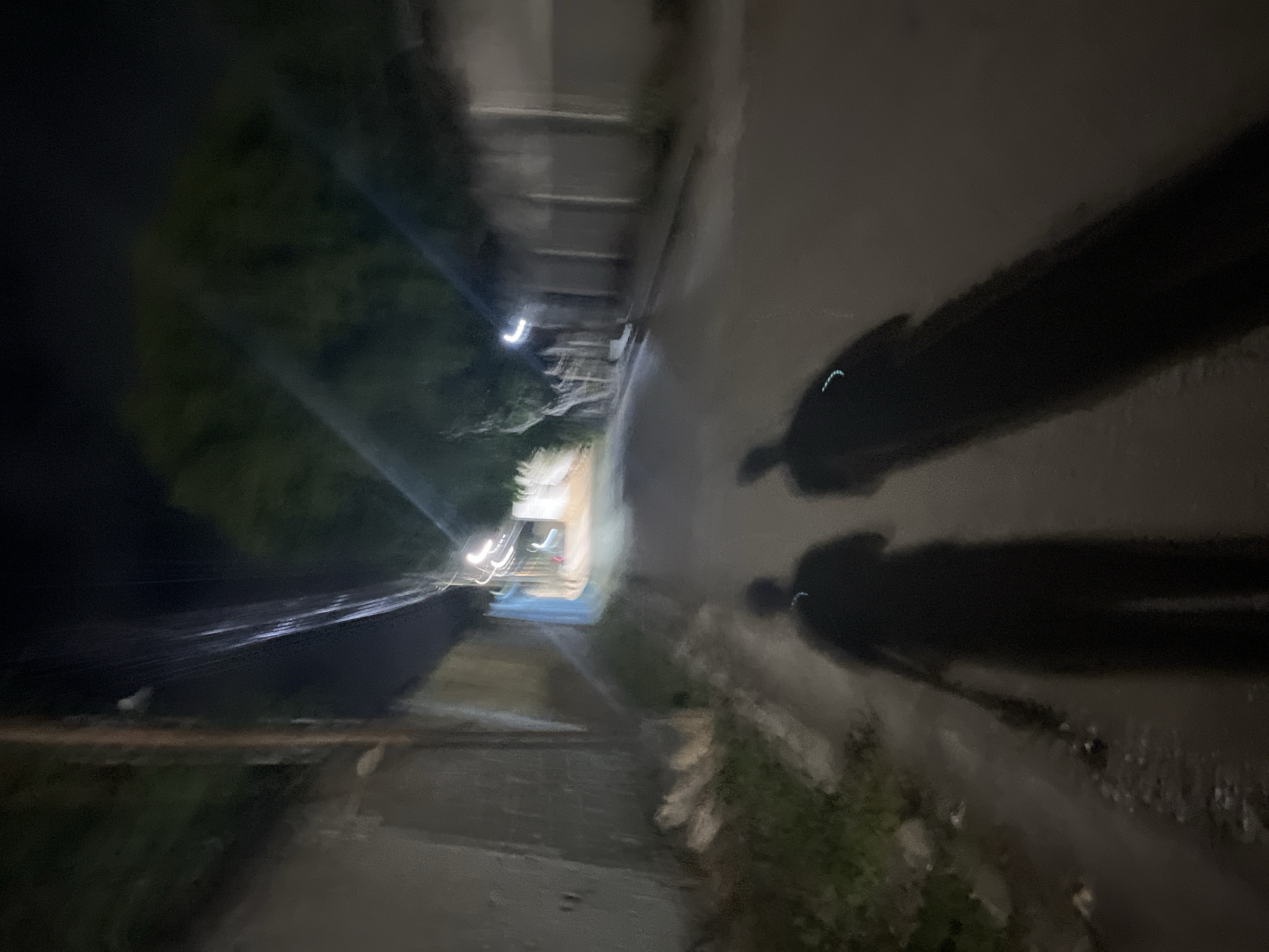 An out-of-focus, night-time photograph shows two long shadows of people walking down a narrow street in Santa Ana, Venezuela. The street is lined with textured walls on the left and buildings with fences on the right. The ground appears to be paved and somewhat uneven, with some debris visible on the left side. Overhead, electrical wires are strung between poles, and foliage is visible in the background. Artificial lights are present, creating streaks and glares due to the motion blur and low light conditions. The shadows suggest the subjects are walking away from the camera.