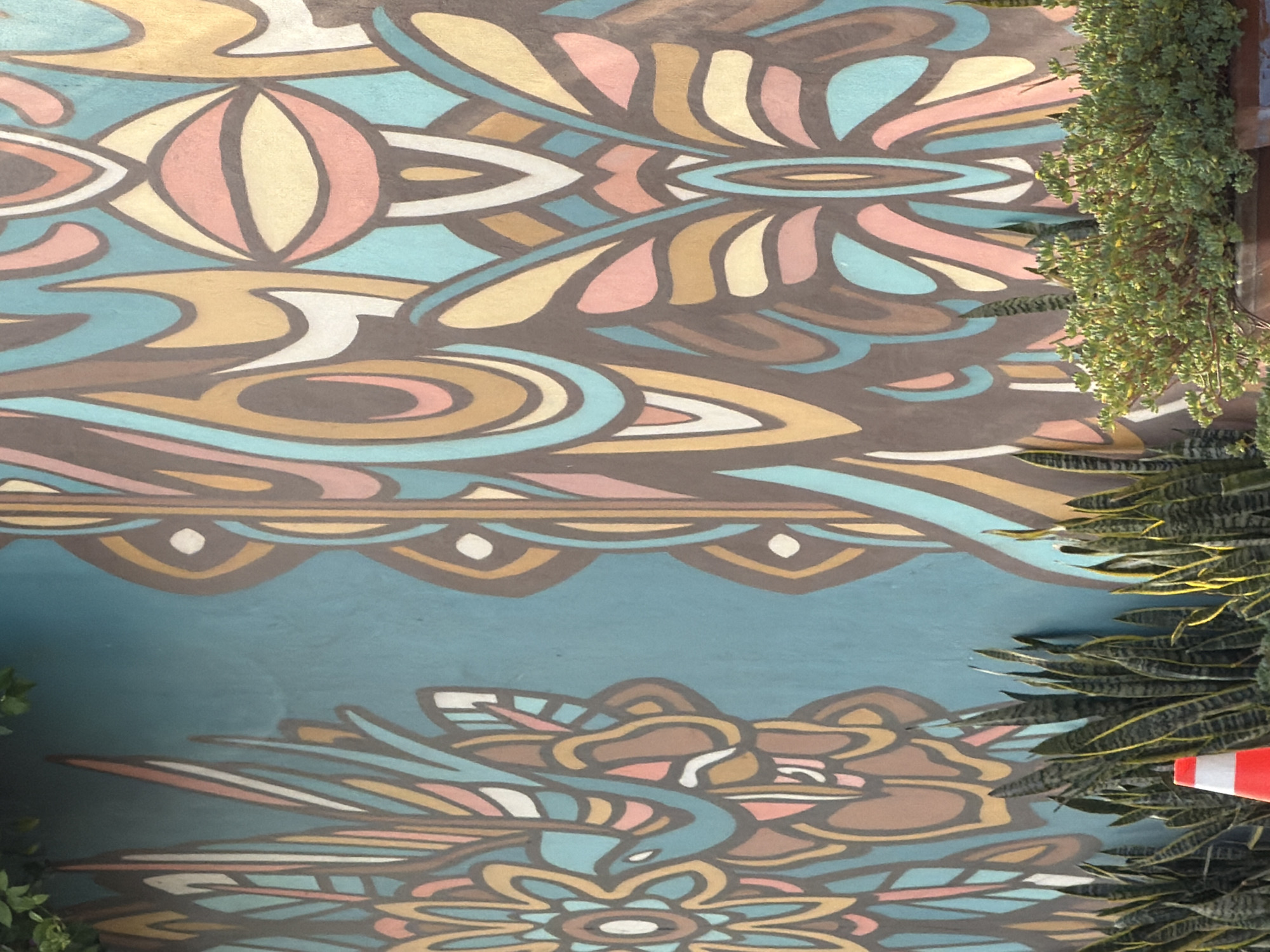 The image shows a vibrant mural on a turquoise wall in Cholula, Mexico. The mural features abstract, organic shapes in various colors, including brown, pink, yellow, and white, forming what appears to be stylized butterflies or floral elements. In the foreground, a line of snake plants (Sansevieria trifasciata) adds a touch of greenery. To the left of the plants, an orange and white traffic cone is visible. The lighting suggests it is daytime, with shadows indicating the sun's position. The overall scene is a blend of street art and natural elements.