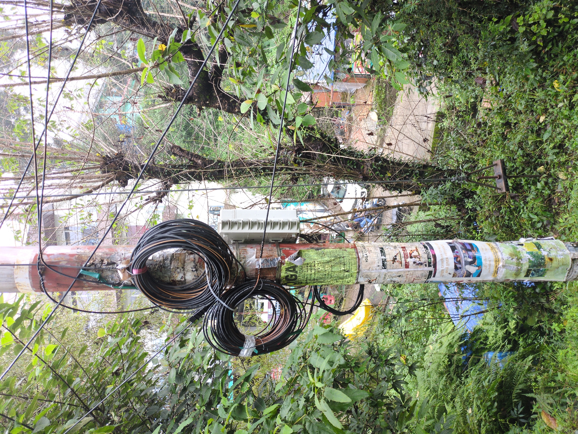 This image depicts a utility pole in Bhagsu, India, amidst dense greenery and overhead wires. The pole is covered in various advertisements, some of which are faded and peeling. Coiled black cables are wrapped around the pole, secured with tape and straps. In the background, buildings, a street, and a white car are visible through the trees. The environment appears somewhat cluttered with wires and vegetation, suggesting an urban or semi-urban setting. A metal swing set frame is also present in the lower part of the image, partially obscured by foliage.