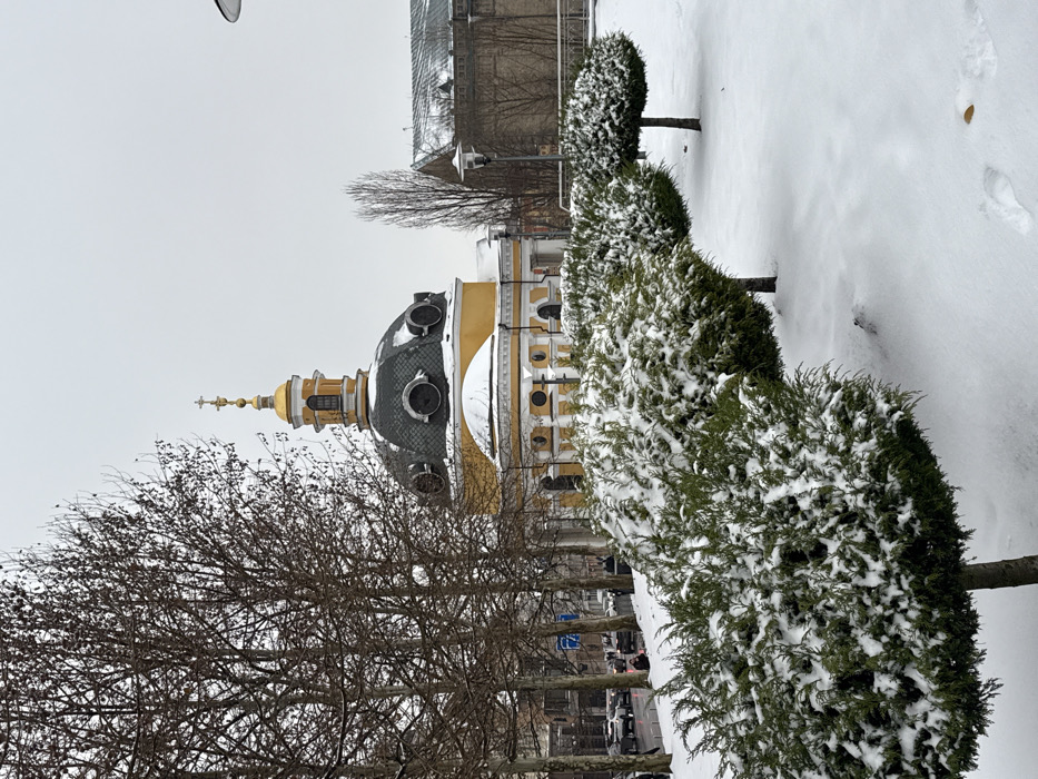 The image depicts a winter street scene in Kyiv, Ukraine, specifically featuring the Church of the Nativity of the Theotokos, part of the Desyatynna Monastery complex, located on Volodymyrska Street. The ground is covered in white snow.
In the immediate foreground, a row of three neatly pruned evergreen bushes, their foliage dusted with snow, extends from left to right. The snow-covered ground to the right shows faint impressions of human footprints.
The central subject is a distinct yellow church building with white architectural trim. It features a dark, hemispherical dome, partially covered with snow, which is adorned with several circular openings or decorative elements. Rising from the dome is a golden cupola, topped by a slender golden spire that culminates in an Orthodox cross.
To the left of the church, a street or road is visible, bordered by a line of tall, bare deciduous trees. Multiple vehicles, primarily cars, are present on the road, suggesting traffic flow. Several indistinct human figures are discernible on the sidewalk adjacent to the street. In the background, other buildings, also partially covered in snow, are visible, interspersed with additional bare trees and a street light on the right. The sky is uniformly overcast and grey.
