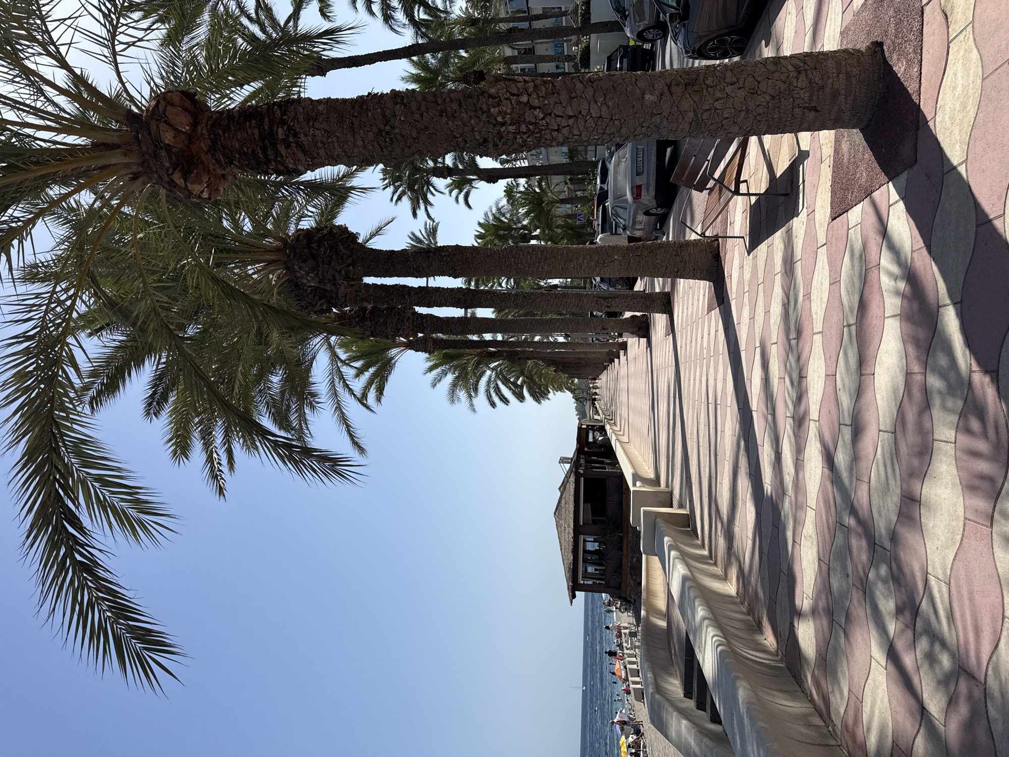 The image depicts a sunny day along the promenade in Aguadulce, Spain, with a clear blue sky overhead. A row of mature palm trees lines the right side of the paved walkway, their fronds casting dappled shadows on the patterned pink and beige tiles. To the left, a beach slopes down to the Mediterranean Sea, where several people are visible relaxing on the sand and swimming in the water. A thatched-roof beachside establishment with outdoor seating is situated near the water's edge. Cars are parked along the street parallel to the promenade. The scene suggests a popular tourist destination, likely during the warmer months.