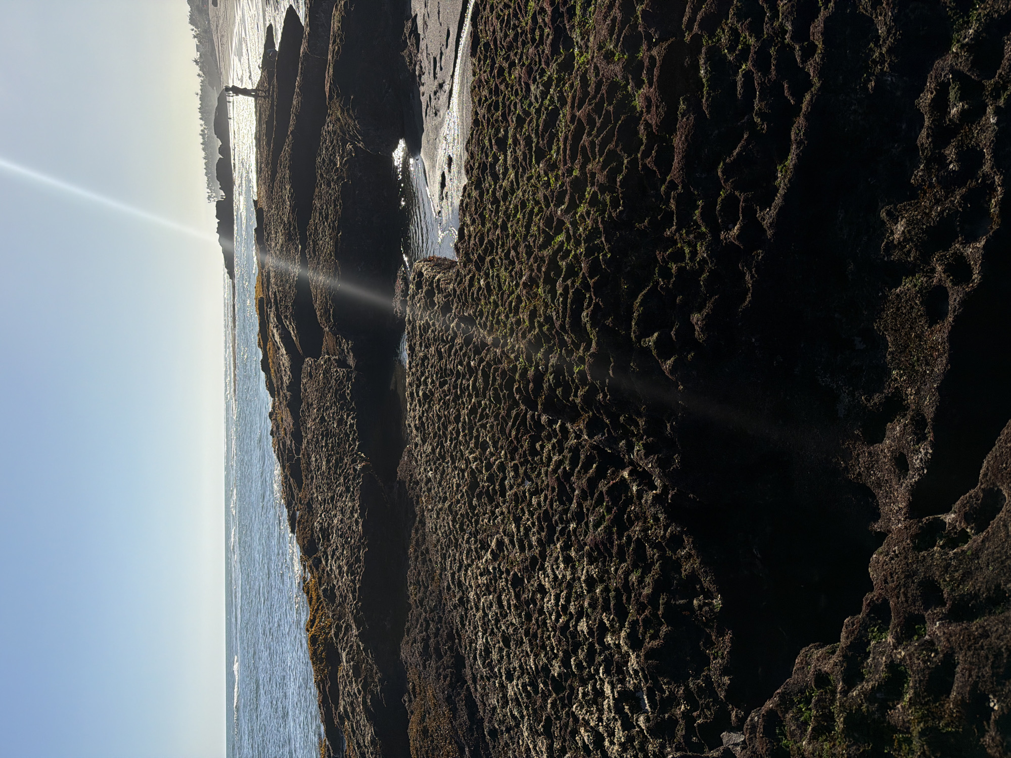The image depicts a rocky coastline with the ocean meeting the shore. The rocks are dark and textured, with a honeycomb-like pattern and some patches of green moss or algae. The ocean is a deep blue with small waves. A narrow strip of sand separates the water from the rocks. In the distance, the horizon is visible, with a hazy line of trees or land under a bright, clear sky. Sunlight streams across the scene, creating lens flares and highlighting the textures of the rocks and the water.
There are a few small figures of people visible on the sand in the distance, appearing to be walking along the beach. The overall mood of the image is serene and natural, emphasizing the rugged beauty of the coastline. The clear sky suggests it is daytime, likely late afternoon or early morning due to the angle of the sun and the length of the lens flares. There is no visible text in the image.