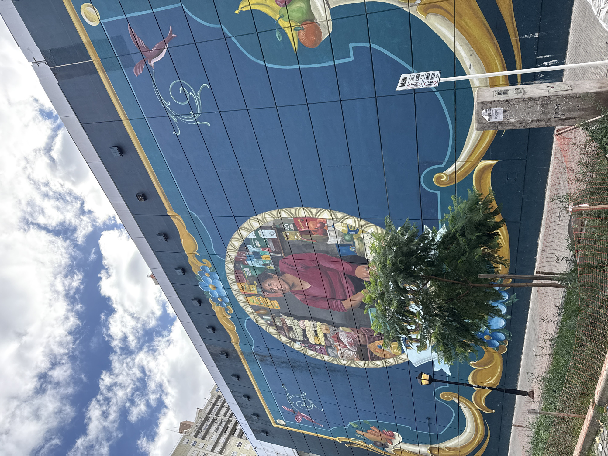 The image displays a vibrant, large-scale mural painted on the side of a modern building in Buenos Aires, Argentina, captured from a low angle looking upwards towards the sky. The mural features a deep blue background adorned with elaborate golden swirls and light blue floral patterns, spread across numerous vertical panels.
At the core of the mural is a prominent oval frame enclosing a depiction of a woman, possibly a shopkeeper, engrossed in looking down at a counter laden with an array of packaged goods, hinting at a small market setting. Her expression appears focused. Above this central portrait, the mural extends with decorative elements: a brown bird in flight accompanies a golden sun or moon in the upper left, while a cluster of fruit including bananas, an apple, and an orange spills from a white grocery bag in the upper right.
To the right, a verdant green tree partially obscures the mural's lower section, alongside a black lamppost. A reddish-orange safety fence and some greenery line the edge of what appears to be a street or pathway. A white rectangular sign is attached to a pole, bearing Spanish text such as "DISEMA," "CARGA Y RECARGA" (load and reload), "SERVICIOS" (services), "NO DISPONIBLE" (not available), and "PAGA CON CUALQUIERA DE ESTAS TARJETAS" (pay with any of these cards), indicating payment or service information. The sky is bright with scattered white clouds, confirming a daytime scene. Distant buildings are visible on the left, beneath the sky.