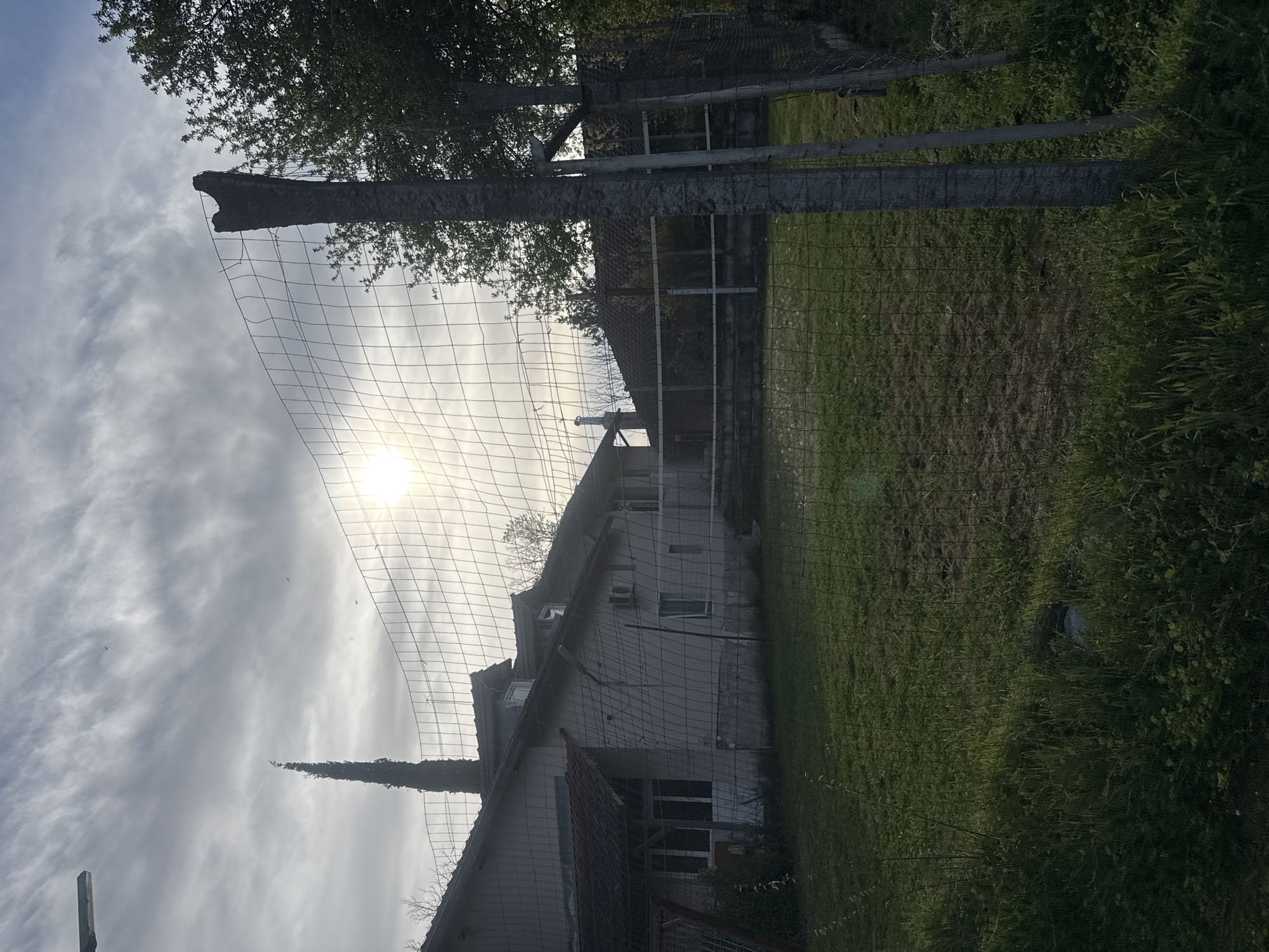 A photograph depicts a backyard scene in Parvomai, Bulgaria, viewed through a wire mesh fence. The background features a residential building with a light-colored facade, a dark tiled roof, and multiple windows. A chimney, partially covered in foliage, extends upwards. The sun is visible through a cloudy sky, positioned behind the fence. In the foreground, grass and vegetation fill the right side of the image, while fence posts and sections of wire mesh define the boundary of the yard.