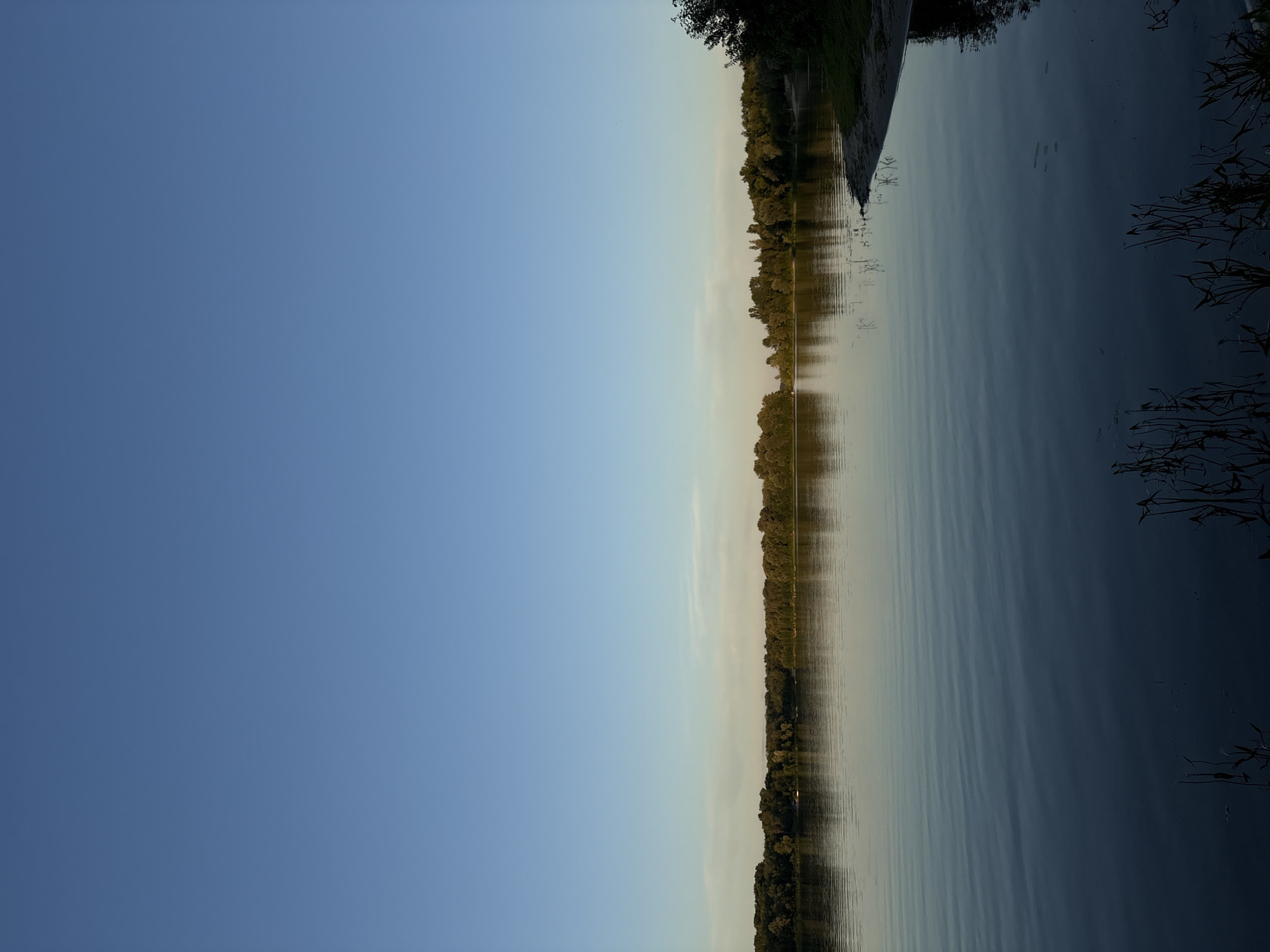 A wide, still body of water stretches across the lower half of the image, reflecting the clear, pale blue sky above. The water's surface is mostly calm, with subtle ripples creating horizontal lines. A distant, tree-lined shore runs horizontally across the horizon, its dense green foliage a stark contrast to the sky. The trees appear to be in full leaf, suggesting a warm season. A small sandy bank with some green grass is visible on the right side of the image, jutting out slightly into the water. In the foreground, the dark silhouettes of reeds or tall grass stand out against the dark water. The overall impression is one of tranquility and natural beauty, with the scene bathed in soft, natural light.