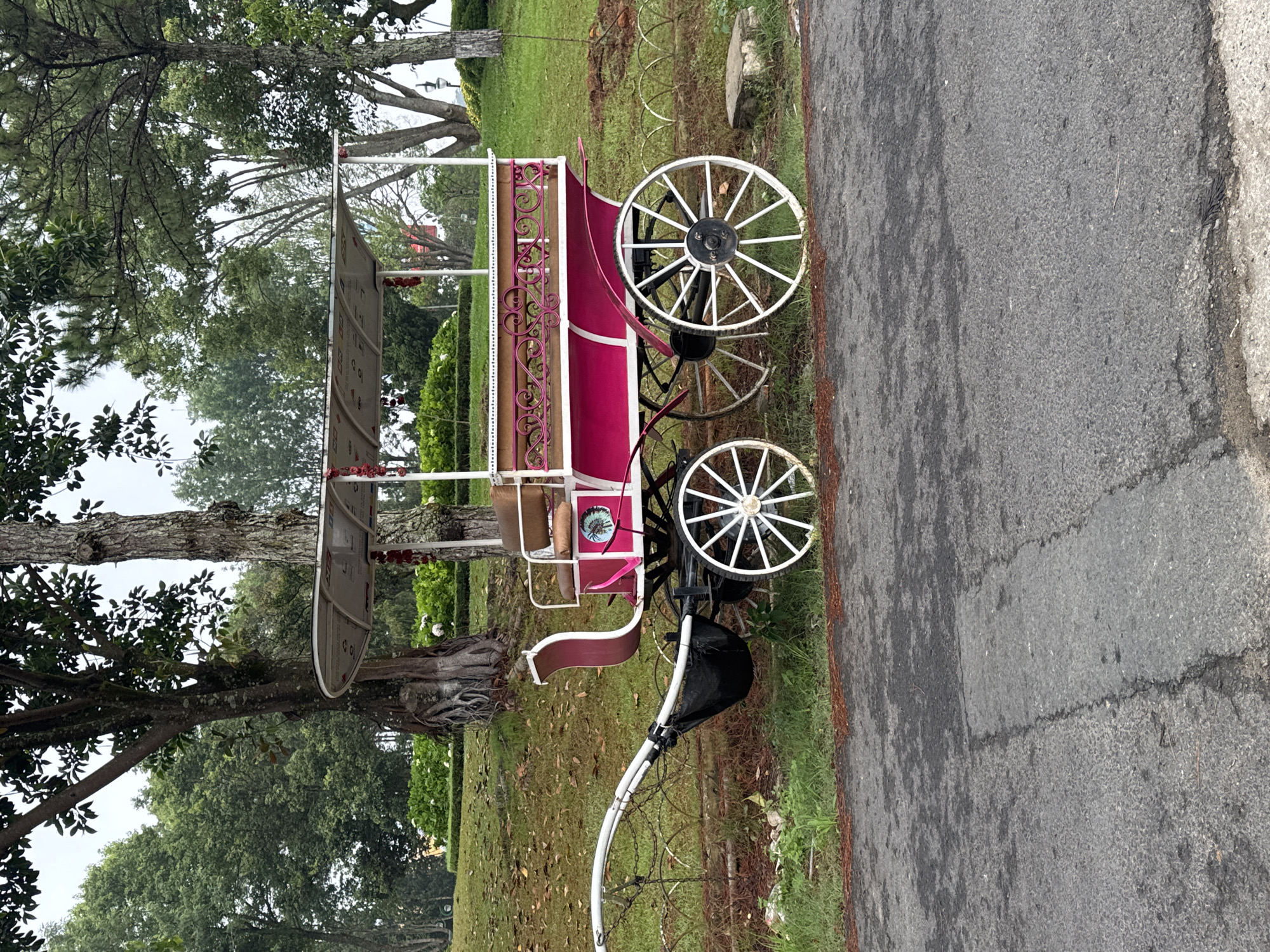 The image captures a decorative, antique-style carriage or buggy, predominantly fuchsia/magenta and white, positioned on a grassy lawn beside an asphalt road. The carriage features prominent white spoked wheels, ornate white railings along its sides, and a light brown upholstered seat. A black bag or basket is attached to the front of the carriage, which has curved white poles for a hitch. A small circular emblem depicting a stylized bird is visible on the side of the carriage.
The setting is an outdoor park or garden, lush with green foliage from various trees, some with thick trunks and others resembling pine trees, and a well-maintained green lawn. Scattered fallen leaves or pine needles are visible on the ground near the trees. In the background, a large white sign with several small graphical icons and illegible text is mounted on white posts.
The scene is set during the daytime, likely under an overcast or diffused light sky, given the soft lighting and absence of strong shadows. No people are present, indicating the carriage is a stationary display, possibly for aesthetic purposes or tourist photo opportunities. The overall atmosphere is tranquil. This scene is situated in Da Lat, Vietnam.