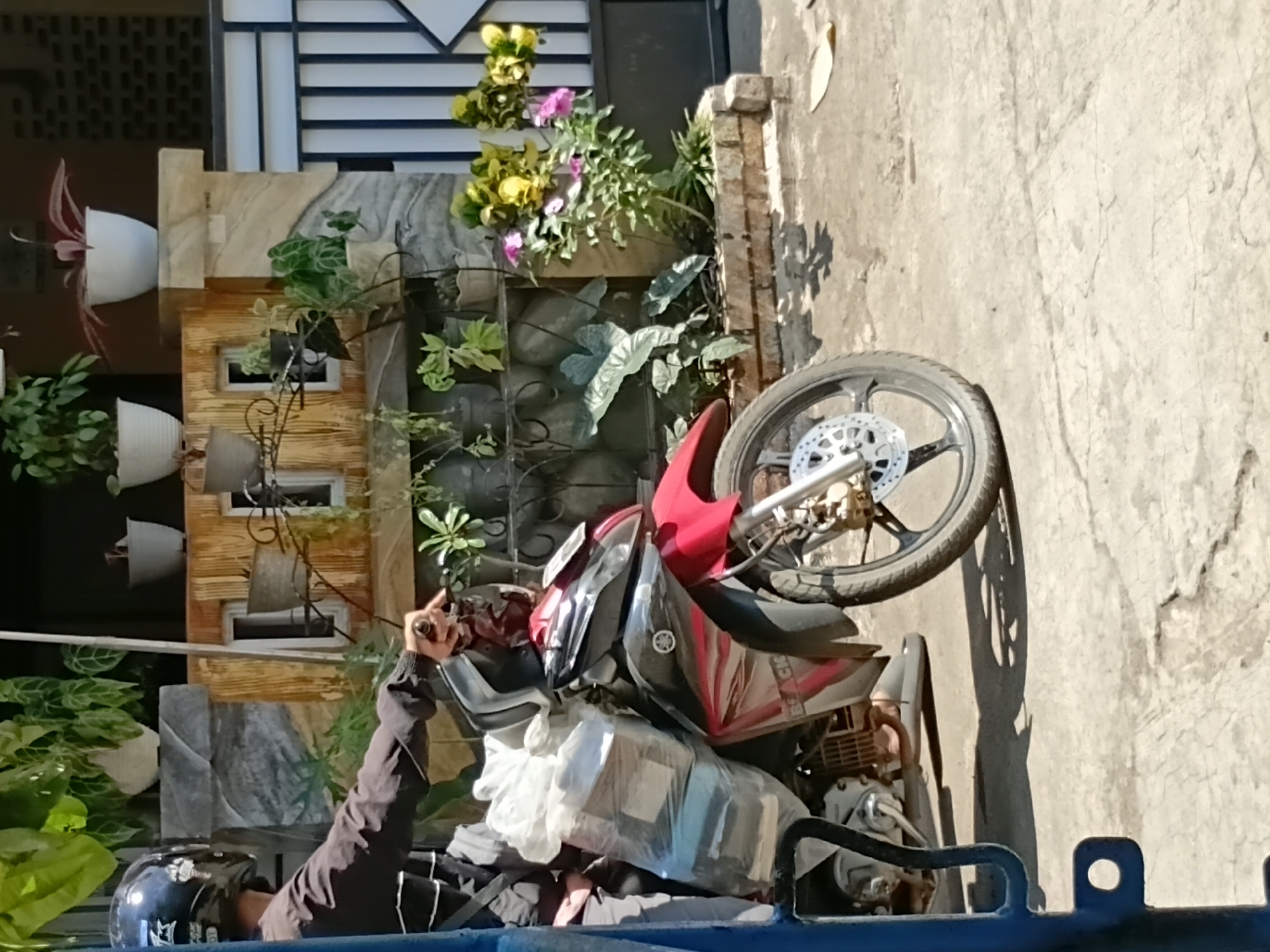 A person wearing a black helmet and jacket is on a red and black motorcycle, carrying a package wrapped in clear plastic and white material. The motorcycle is parked on a concrete surface in front of a building with potted plants. The building has a decorative facade with wooden and stone elements. A black and white striped fence is visible in the background. The scene appears to be outdoors on a sunny day. The location is in Tanggul Wetan, Indonesia.