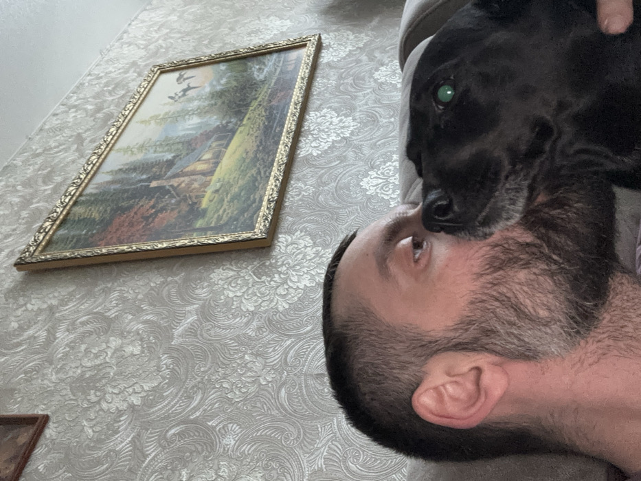 The image portrays an indoor scene in Reftinsky, Russia, featuring an adult male and a black dog. The man, visible from his upper chest to his mid-forehead, has short dark hair, a beard, and brown eyes. His right cheek is pressed against the snout of a black dog, which has short fur and a visible green left eye. The man's gaze is directed slightly upwards and to the right. The background wall is covered in light-colored wallpaper featuring a prominent damask pattern. A rectangular landscape painting, framed in ornate gold, hangs on the wall, depicting a rustic cabin within a forested area, a body of water, and birds in flight. A beige or light brown upholstered surface is partially visible behind the man's head and shoulder.