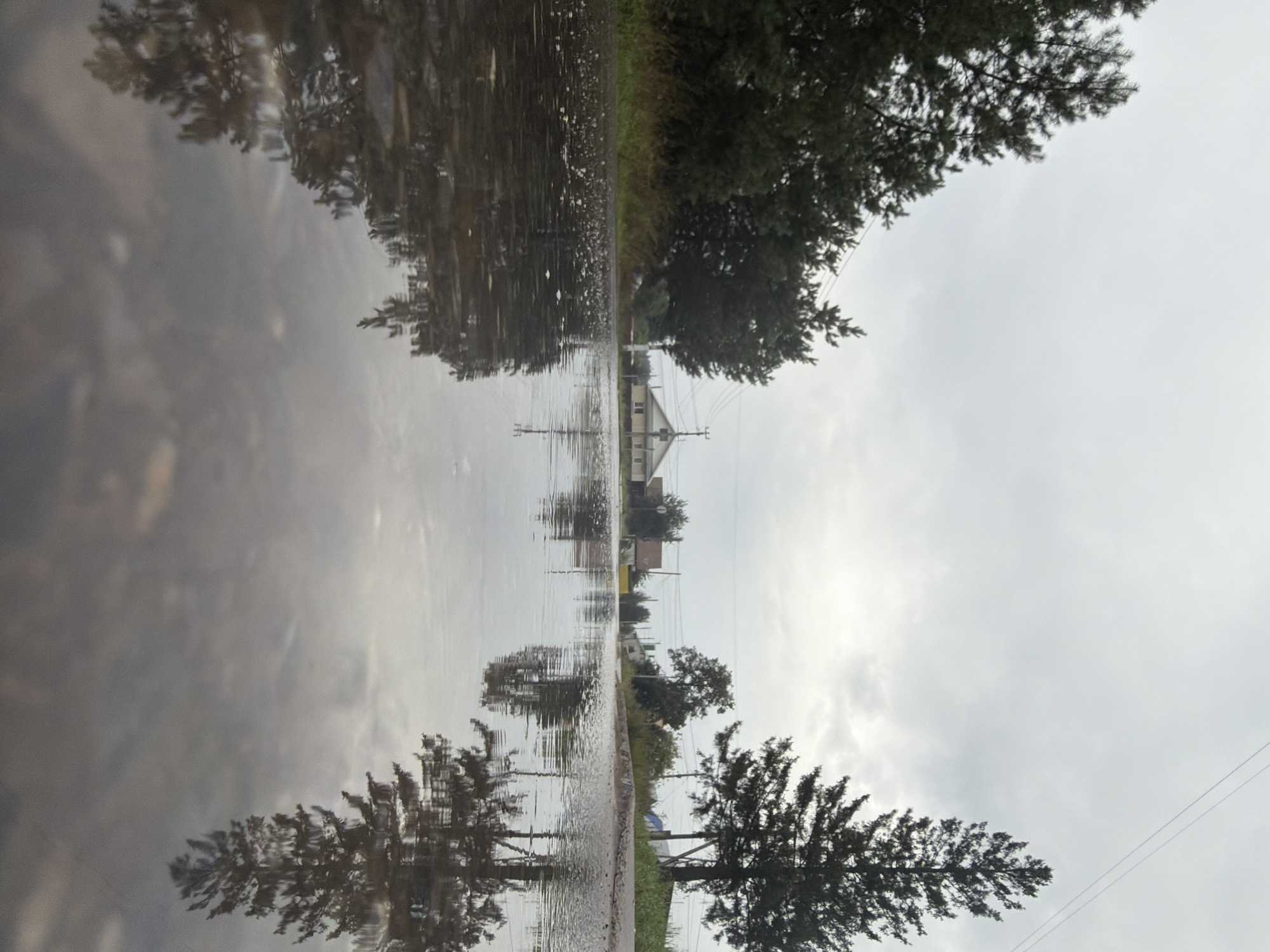 The image depicts a roadside puddle on an overcast day in Chaikovsky, Russia. The foreground is dominated by the reflective surface of the puddle, which mirrors the sky, trees, and houses in the background. A line of dark green coniferous trees runs along the left side of the road, with a single tall pine tree standing prominently on the right. Several houses are visible in the distance, suggesting a residential area. Power lines stretch across the sky. The road appears to be paved, with the puddle suggesting recent rainfall. There are no people or animals visible in the scene.