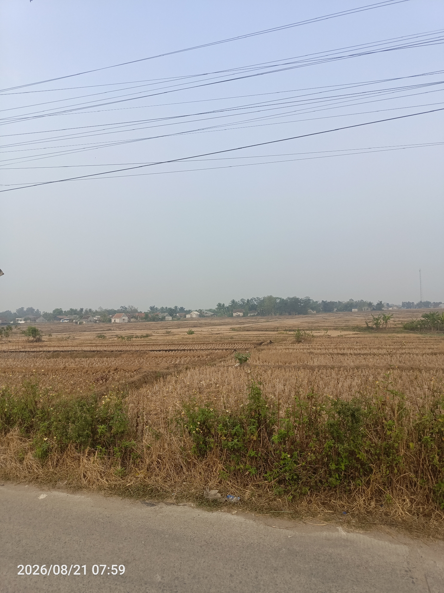 The image depicts a rural landscape in Jawilan, Indonesia, under a hazy sky. The foreground shows a paved road bordering a field of dry, harvested crops, possibly rice stubble, with some green vegetation growing along the edge. Beyond the field, a village is visible, characterized by scattered houses with various roof colors, interspersed with trees and vegetation. In the distance, a tall cell tower is noticeable on the right side of the horizon. The overall scene suggests a dry season agricultural setting in a semi-urbanized rural area. A timestamp in the lower left corner reads "2026/08/21 07:59".