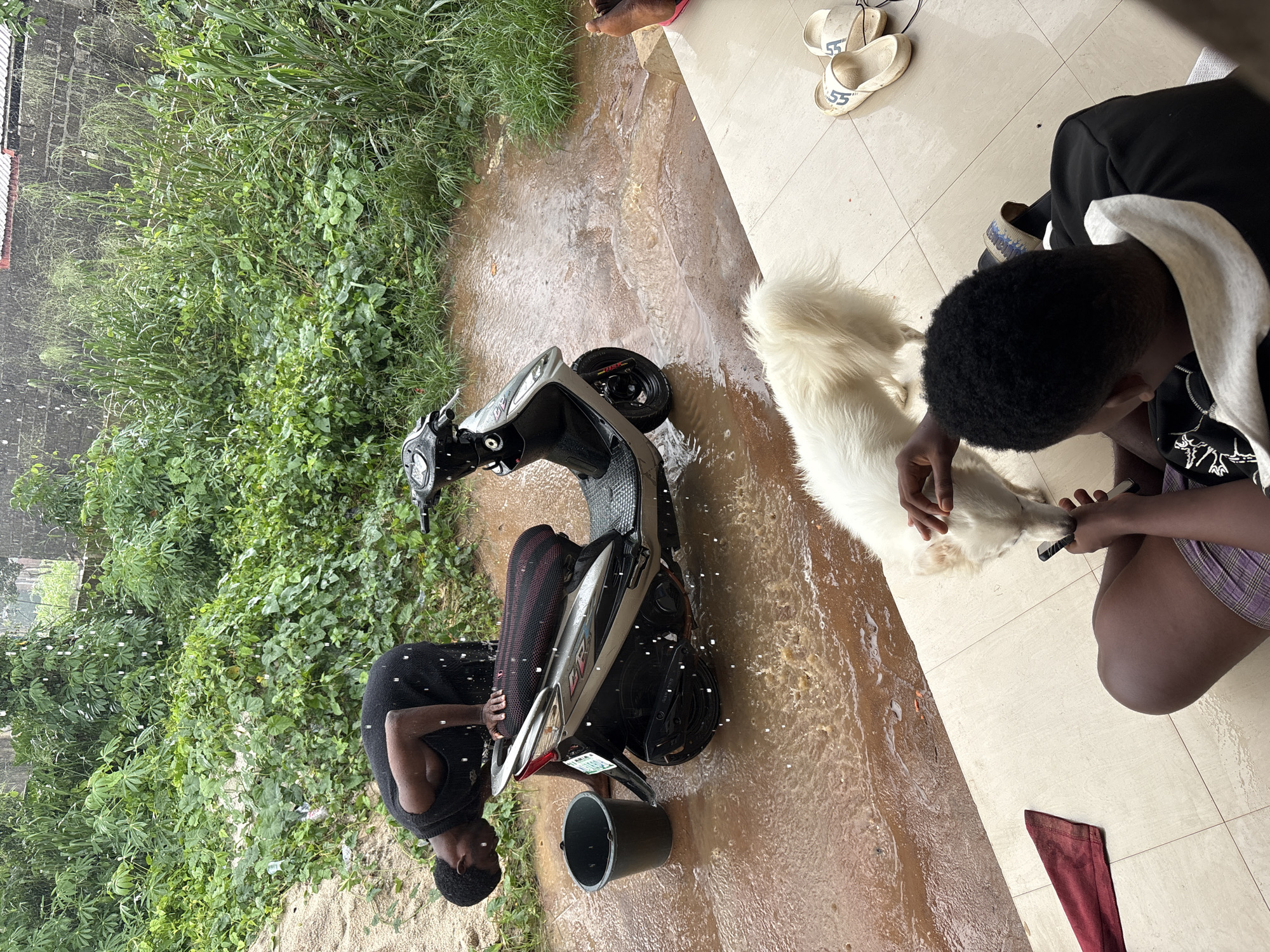 In Ikot Ekpene, Nigeria, a woman in a black tank top washes a grey and black scooter with water from a black bucket amidst a downpour, with water flowing around her and the vehicle. Nearby, a person wearing a black shirt and purple shorts is seated, holding a white dog. Footwear including sandals, is on the tile floor. Abundant green vegetation grows adjacent to the area, and tile flooring extends from the building.