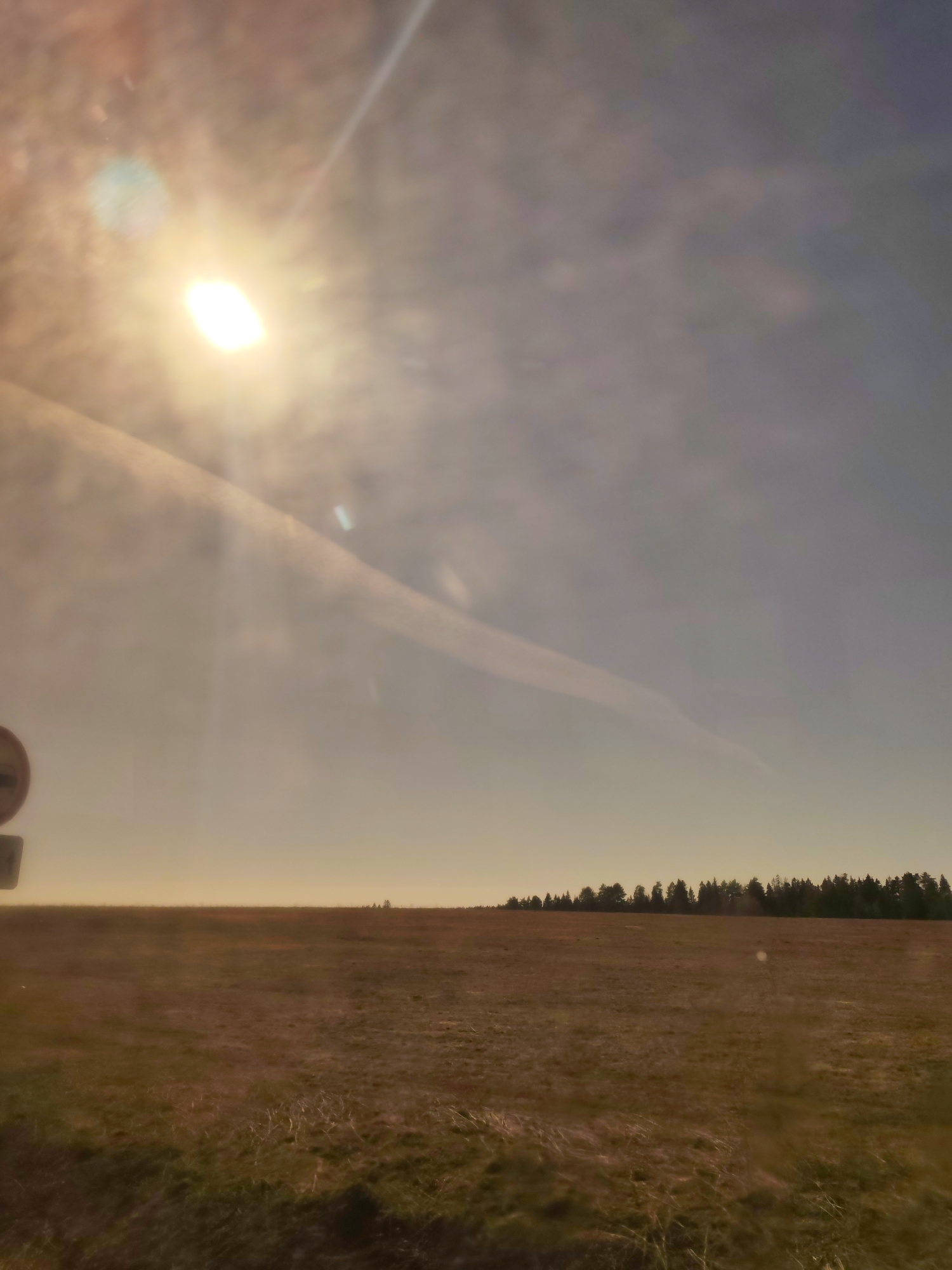 The image displays a vast, open rural landscape under a bright, hazy sky. A sprawling field of dry, brownish-green grass occupies the majority of the frame, extending towards a distant horizon. Along the right side of the horizon, a distinct line of dark green conifer trees forms a dense forest edge. The sun, a brilliant white and yellow orb, is prominently featured in the upper-left quadrant, emitting strong rays and creating significant lens flare and atmospheric haze across the sky. This haze softens the light and obscures details in the upper sky, though faint cloud formations are visible. A blurred, partial circular road sign is visible in the far left foreground. The scene depicts a quiet, expansive natural environment, likely in Kamennoye, Russia, illuminated by what appears to be strong, diffused daylight, possibly from a morning or late afternoon sun. There is no discernible activity taking place, and no legible text is visible.