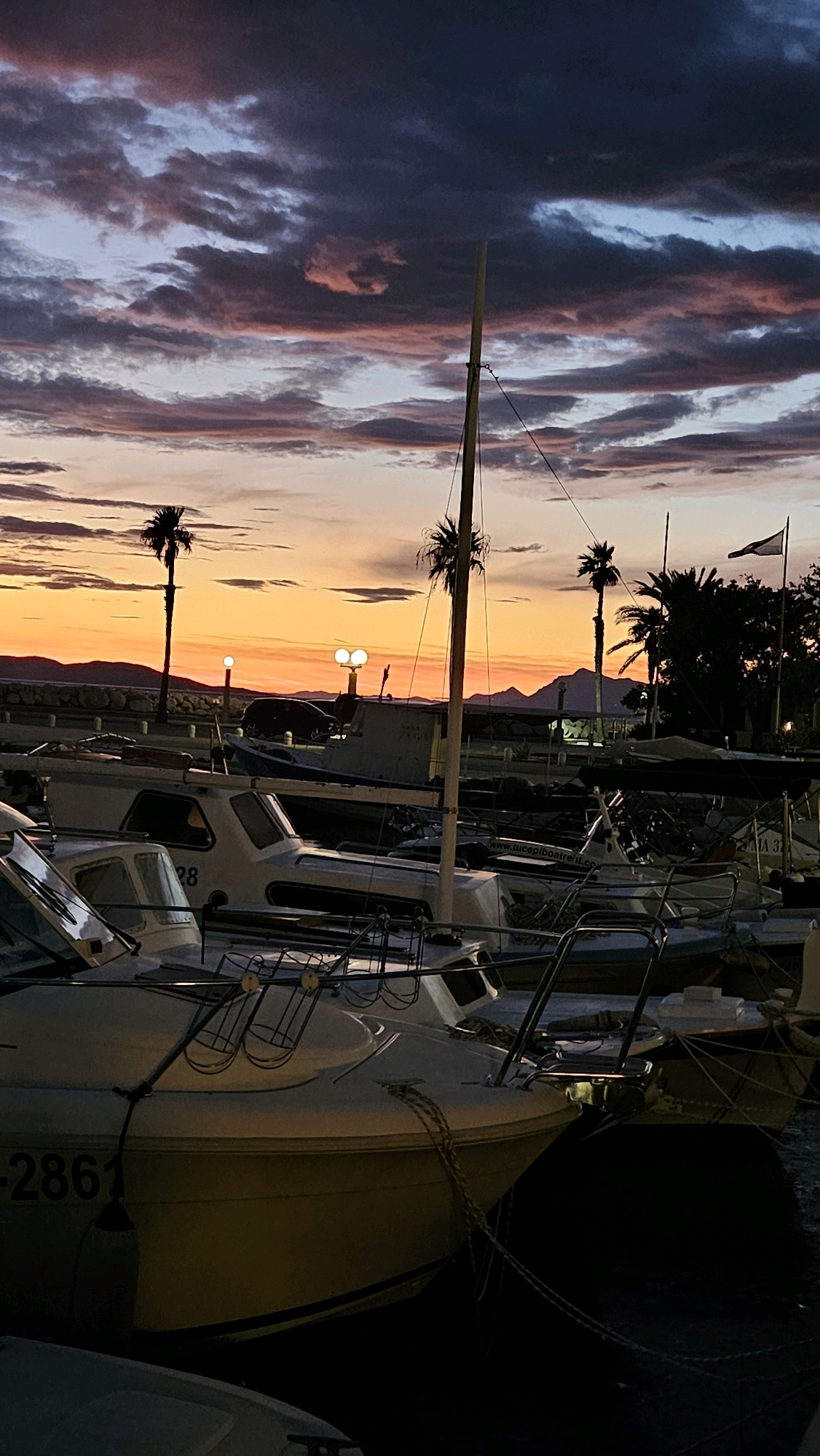 The image depicts a marina in Općina Tučepi, Croatia, at sunset. The sky is filled with dramatic clouds in shades of purple, pink, and orange, with the setting sun casting a warm glow on the horizon. Silhouetted against the vibrant sky are palm trees and mountains in the distance.
In the foreground, several boats are docked. The closest boat is a white motorboat with a dark blue stripe along its hull, bearing the registration number "2861." Another white motorboat is visible behind it, with the number "28" on its side. Several other boats of varying sizes are also present in the marina.
The scene is calm and serene, with the gentle lapping of water against the boats adding to the tranquil atmosphere. The overall impression is one of a picturesque coastal evening in Croatia.