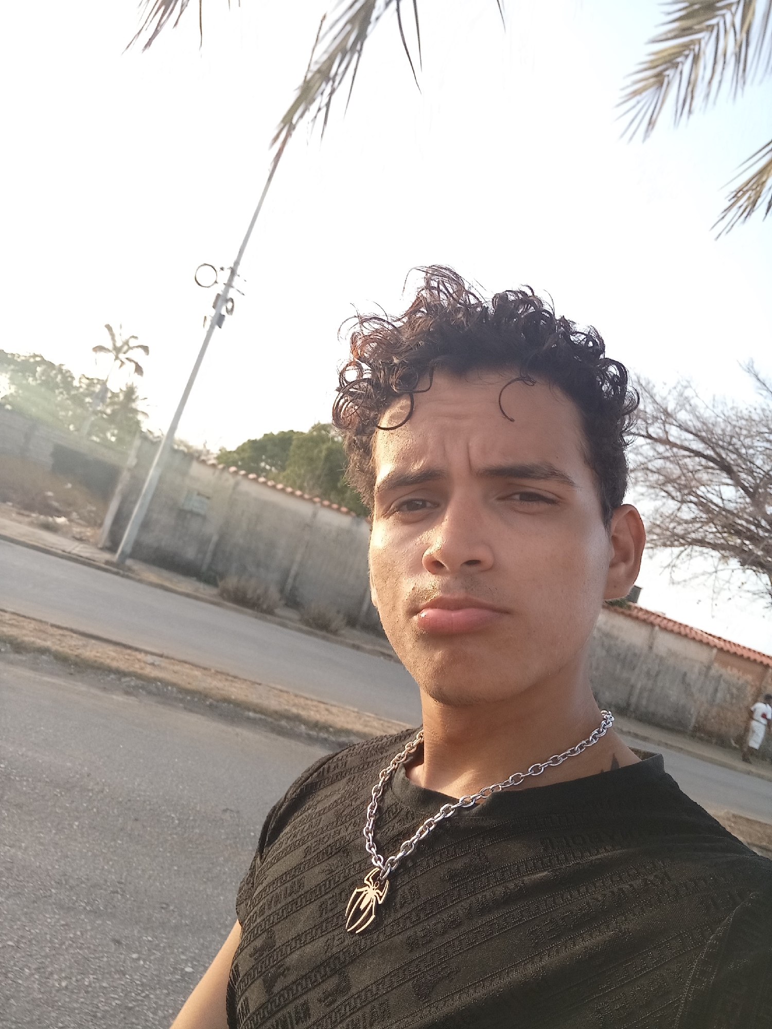 A young man is captured in a close-up, selfie-style portrait taken outdoors in what appears to be Juan Griego, Venezuela. He has dark, curly hair and a medium skin tone, and is looking directly at the camera with a serious or slightly pouting expression. He is wearing a dark, textured t-shirt and a silver chain necklace featuring a spider-shaped pendant, reminiscent of the Spider-Man logo.
The scene is set outdoors, likely on a street or roadside. An asphalt road and a dirt shoulder are visible in the lower portion of the frame. In the background, there's a low concrete or stucco wall, partially covered by sparse vegetation and a bare-branched tree on the right. A tall, slender utility pole stands on the left. Palm fronds are visible against a bright, clear sky in the upper corners, suggesting a tropical climate.
The strong, somewhat golden sunlight indicates either late afternoon or early morning, casting a glow on the man's face and hair, and creating bright highlights in the sky. There is no visible text in the image.