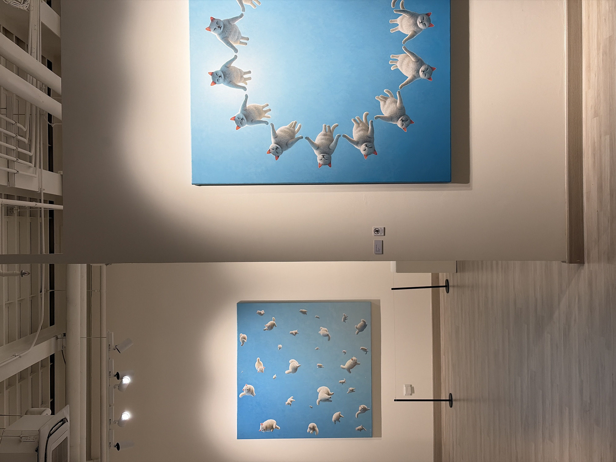 The image shows two paintings hanging on a wall, presumed to be in an art gallery or similar exhibition space. The upper painting depicts a circle of cats floating in a blue sky. The lower painting displays a scatter of cats across a similar blue backdrop.
The building structure is modern, with a system of white pipes and fittings visible on the left side of the image, suggesting an industrial-style interior. The right side of the image includes a door or partition with a light-colored woodgrain finish. The presence of light fixtures on the ceiling further indicates a commercial or public space.
Without further information, the location within Bangkok, Thailand, cannot be determined conclusively.