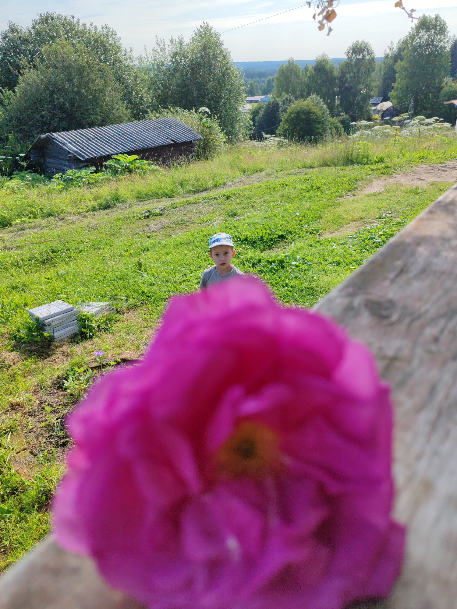 The image shows an outdoor scene with a young boy in the middle ground. The boy is wearing a grey t-shirt and a blue and white baseball cap. He is standing on a grassy slope, with a stack of grey paving stones to his left. In the foreground, a large, out-of-focus pink flower dominates the lower portion of the frame. Behind the boy, a rustic wooden shed with a corrugated roof is visible, nestled among trees. The background consists of a wooded landscape with a few houses, suggesting a rural or semi-rural setting, likely in the village of Чухлэм, Russia, given the context. The sky is bright and appears to be daytime, with some clouds visible. The overall impression is one of a summer day in the countryside.