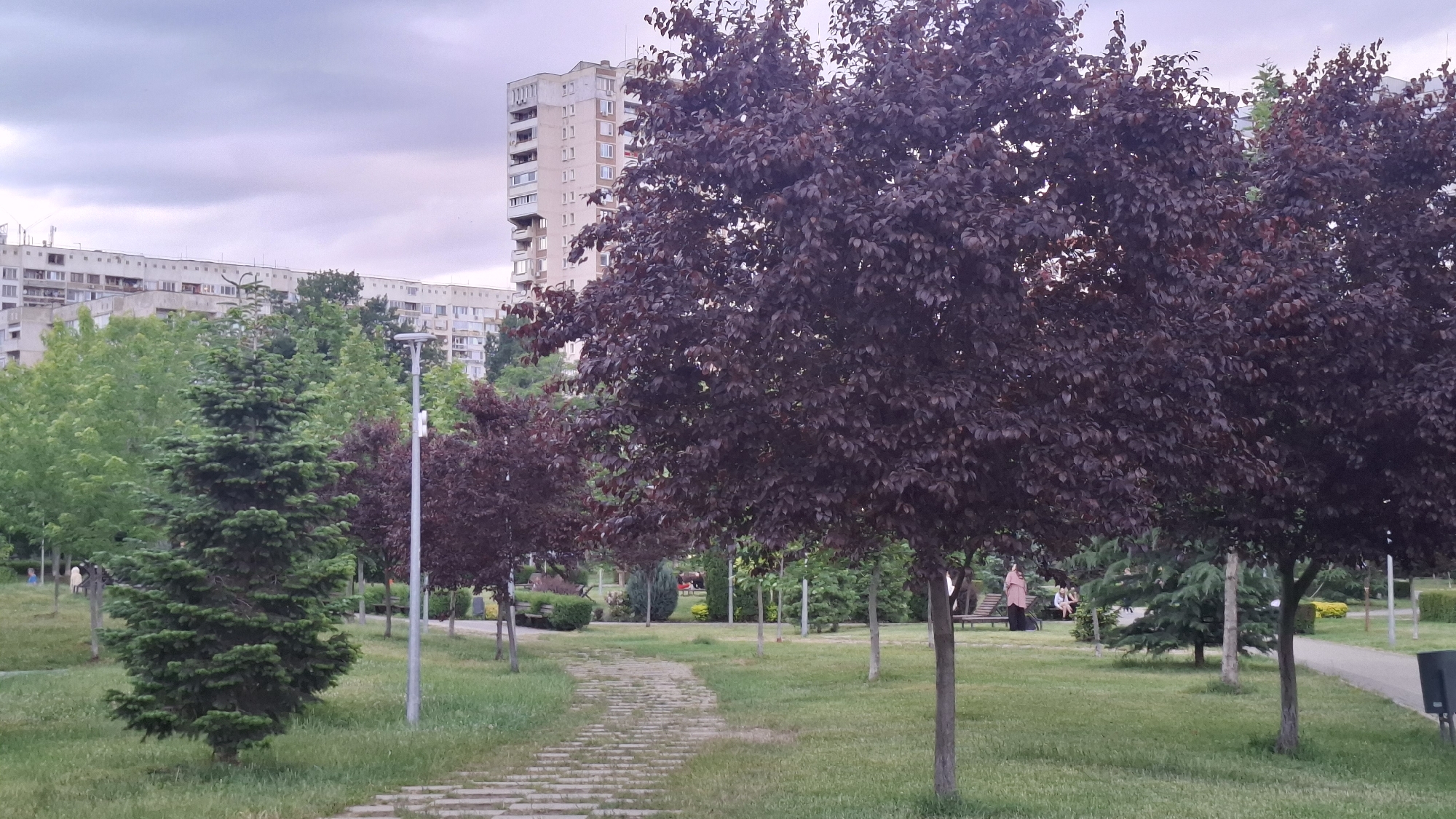 This image captures a tranquil urban park scene in Sofia, Bulgaria, likely during late afternoon or early evening under an overcast sky. The foreground features a winding paved pathway made of light-colored blocks, guiding the eye into the depth of the park. Lush green grass covers the ground on either side of the path.
Dominating the mid-ground and right side are several large, distinctive trees with dark, purplish-red foliage, possibly ornamental plum or cherry trees. To the left, a tall, dense green conifer, resembling a fir or spruce, stands prominently. Other green deciduous trees are scattered throughout the park. A tall, grey street lamp post with a white attached box is visible near the conifer.
In the background, behind the trees, large multi-story residential buildings with numerous windows and balconies line the horizon, indicative of an urban environment. Utility structures are visible on some rooftops.
Several people are casually present in the park. On the left, a person in a blue shirt is partially visible near some green trees. On the right, further back, a group of people, including one individual in a light-colored garment covering their head, are seen sitting on benches or standing, seemingly relaxing. Another group is seated on a bench further in the background. A dark grey waste bin is partially visible on the far right edge of the frame.
The overall atmosphere is calm and leisurely, with people enjoying the green space amidst the city's architecture. No discernible text is visible in the image.