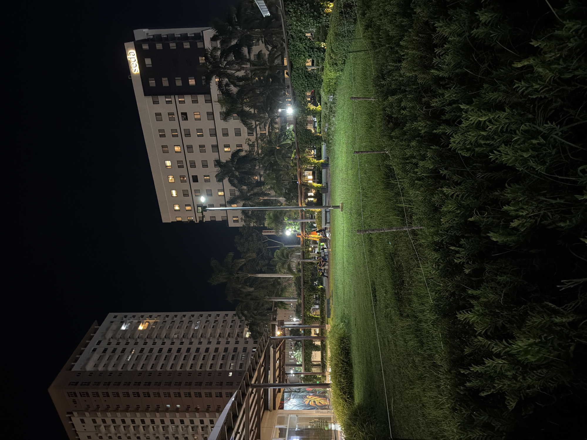 The image depicts a night scene at Seda Hotel in Davao City, Philippines. In the background, two tall buildings are visible. The left building is a residential high-rise with numerous illuminated windows, while the right building is the Seda Hotel, characterized by its white and dark facade and illuminated windows. In the foreground, a well-lit green lawn area is observed, with several people seated on benches. A covered walkway with climbing plants and decorative lighting stretches across the mid-ground. Palm trees are interspersed throughout the scene, contributing to the tropical ambiance. The overall impression is that of a tranquil evening in a well-maintained urban outdoor space.