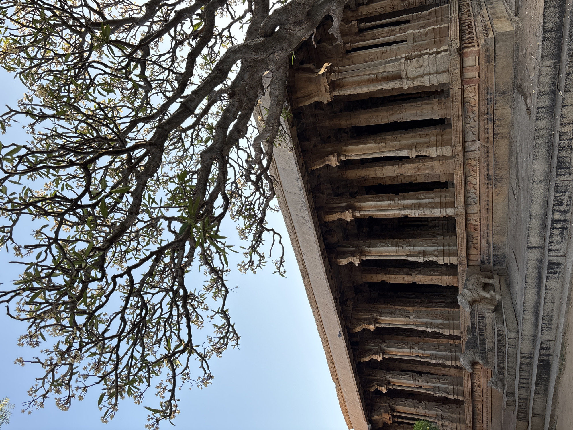 The image shows a low-angle view of a temple structure, possibly located in Kamalapura, India, judging by the architectural style. A large tree with branches and leaves partially obscures the sky. The temple’s architectural elements consist of numerous columns and detailed carvings. The materials appear to be stone or a similar masonry material. There are no people visible in the frame. The sky is clear and light blue.