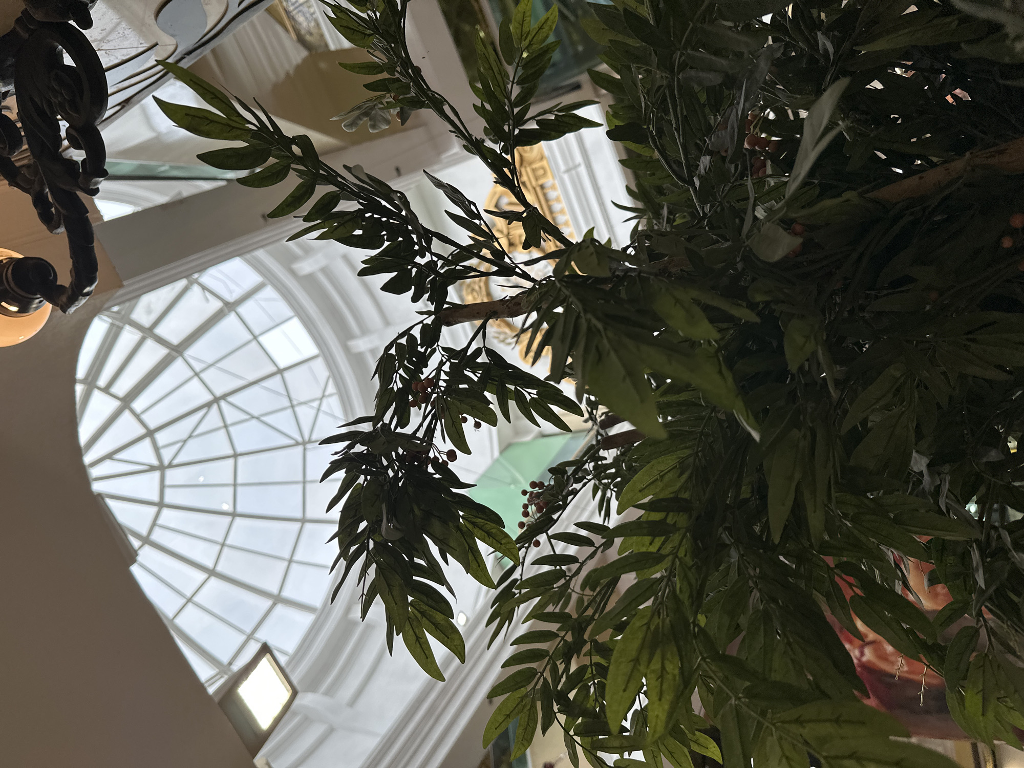The image offers an upward-looking perspective within a grand indoor architectural space, partially obscured by lush green foliage in the foreground. The leaves are dark green and elongated, with several small clusters of reddish-brown berries interspersed among them, suggesting an artificial plant or tree.
The background reveals impressive structural elements of a building. A prominent feature is a large, arched window or skylight with intricate white mullions creating a radial or geometric pattern, allowing ample natural light to flood the interior. The bright light through these windows indicates it is daytime. White or light-colored, high ceilings and walls frame the scene, showcasing ornate, decorative architectural detailing in the upper sections, some appearing to be gilded or richly textured. On the far left, a portion of an elaborate, dark-colored chandelier or light fixture with a warm, glowing bulb is visible, adding an artificial light source to the naturally lit environment. Another square-shaped light fixture is visible on a wall in one of the crop images, further illuminating the space.
No people are visible, and no specific activity or event is taking place; the image captures a static architectural scene. The overall setting suggests a public building, possibly a grand lobby, atrium, or a historically significant structure, consistent with the architectural grandeur often found in cities like Yekaterinburg, Russia. There is no visible text in the image. The scene evokes a sense of spaciousness and elegant design, with natural light playing a key role in illuminating the intricate details.