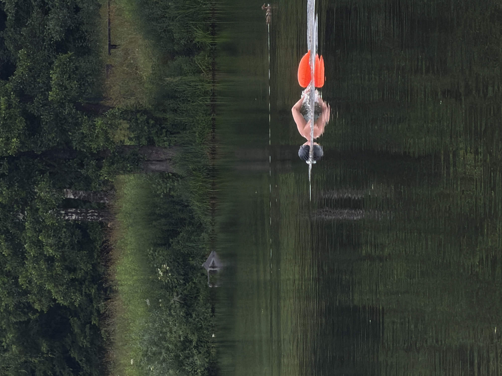 A person wearing a black swim cap is swimming in a body of water, with an orange float attached to their waist. The swimmer is in a horizontal position, propelling themselves forward with their right arm extended and left arm bent, creating a splash in the water. A mallard duck is visible swimming in the background to the right of the swimmer. The water is dark and reflects the surrounding trees and vegetation. The shoreline in the background is lined with lush green grass and dense trees. A partially submerged log or debris is visible near the left edge of the image. The scene appears to be a natural body of water, possibly a lake or river, in a wooded area.