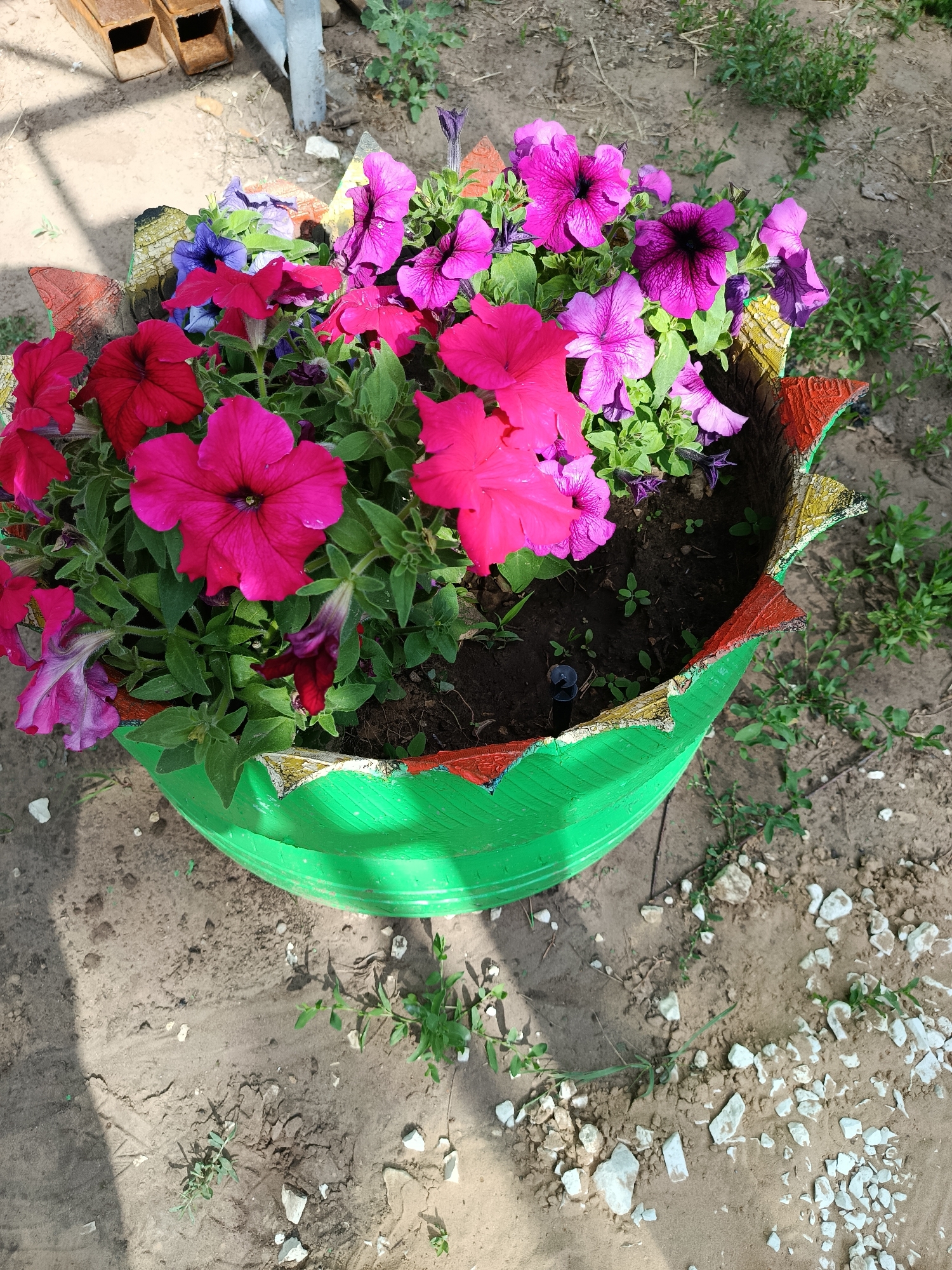 A close-up, high-angle shot shows a planter made from a painted green tire filled with blooming petunias. The tire planter has decorative, jagged edges painted in red, yellow, and black. The petunias are vibrant, with shades of pink, magenta, purple, and deep violet. Green foliage fills the spaces between the flowers. The planter sits on dry, sandy soil with scattered small white rocks and sparse green weeds. In the background, out of focus, are rusty metal beams and a gray pole, suggesting an outdoor setting, possibly a backyard or garden area. The image appears to be taken in Marx, Russia, based on the metadata.