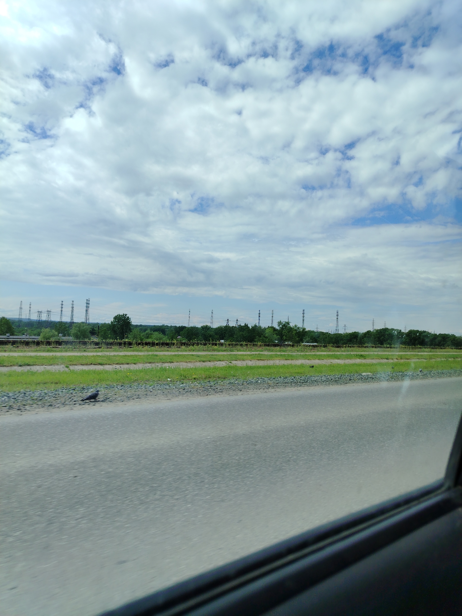 The image depicts a view from inside a vehicle, likely a car, looking out onto a road with a grassy median and a distant treeline. The sky is cloudy with patches of blue. Power lines are visible in the distance. In the foreground, a pigeon is on the side of the road. The car window frame is visible in the lower right corner of the image.
Given that the image was taken in Chaikovsky, Russia, the general environment is consistent with a rural or suburban area on the outskirts of the city. The power lines suggest proximity to an industrial or energy infrastructure zone.