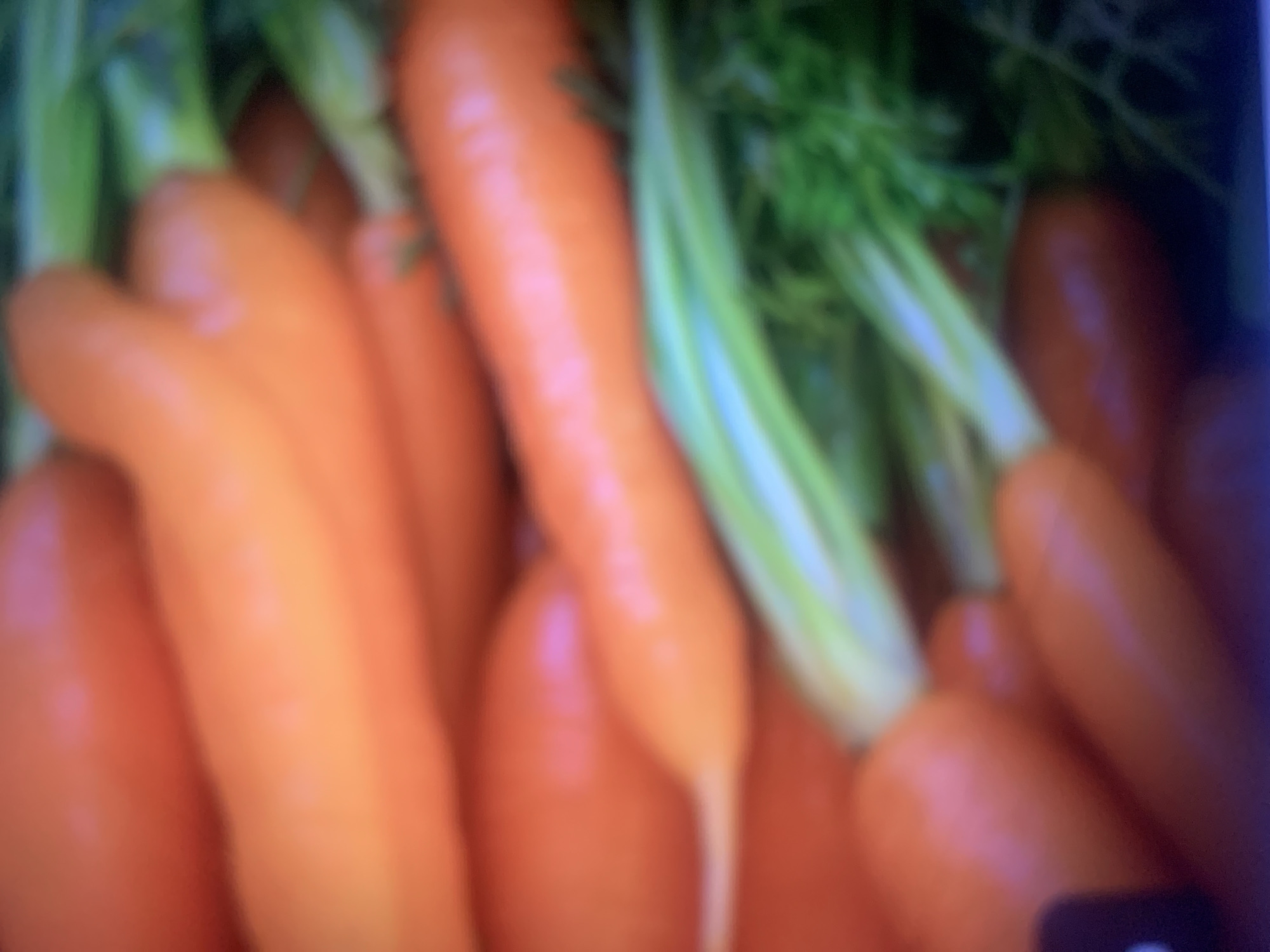The image is a close-up, out-of-focus shot of several bright orange carrots with green leafy tops. The carrots appear to be fresh and are arranged closely together. The lighting is bright, suggesting daylight, but no specific time of day can be determined. The background is dark and out of focus, providing no environmental context. The image does not contain any people, text, or discernible location cues that would place it specifically in Almaty, Kazakhstan. The overall impression is of a collection of fresh produce, likely harvested recently given the vibrant green tops. The blurriness of the image makes it difficult to discern specific textures or imperfections on the carrots themselves.