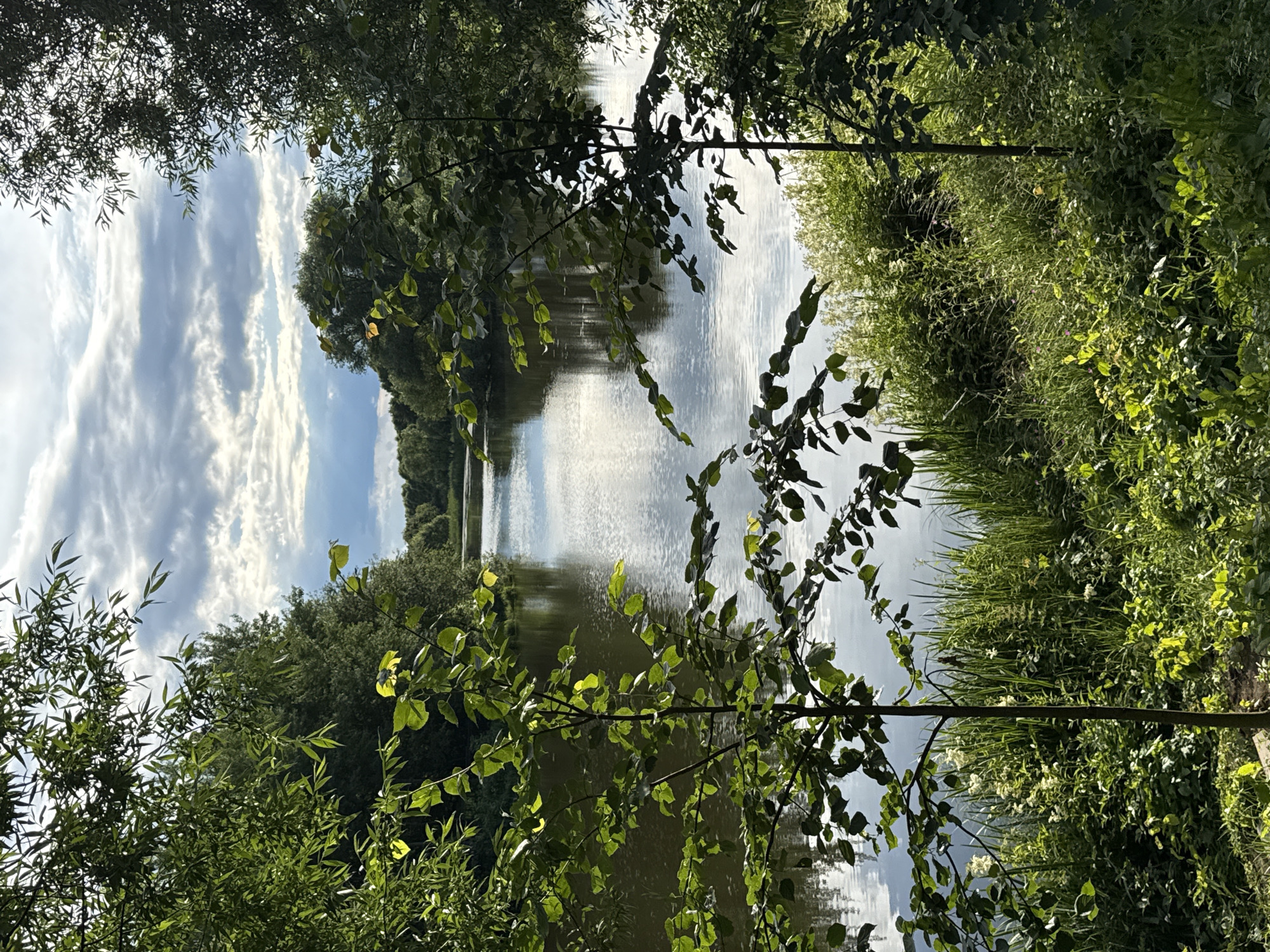The image depicts a serene natural landscape, likely in Russia during summertime, as suggested by the "Летний Отдых" context. The scene is dominated by a body of water, possibly a river or lake, reflecting the sky and surrounding greenery. Tall trees and lush vegetation line the banks, with their leaves forming a natural frame for the view.
The sky is partly cloudy, with dramatic white clouds set against a bright blue background, indicating fair weather and possibly mid-day or late afternoon lighting. The water's surface is textured with ripples, suggesting a gentle breeze. The overall mood is peaceful and tranquil, evoking a sense of natural beauty and escape. There are no people or identifiable objects in the image, emphasizing the unspoiled, natural setting. The orientation of the image is vertical, adding a unique perspective to the scene. No text is visible.
