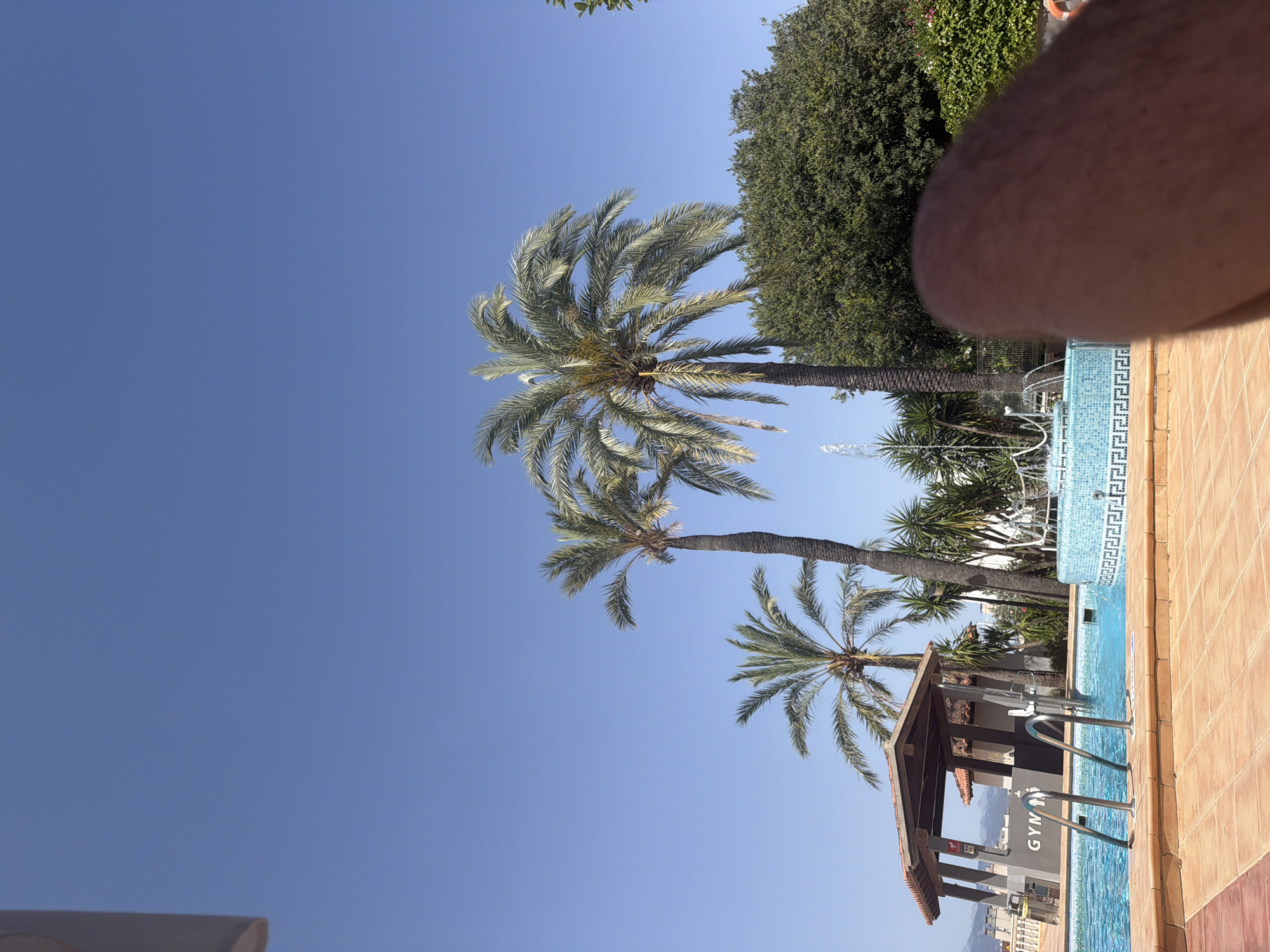 A low-angle, eye-level shot captures a poolside scene under a clear blue sky. In the foreground, a portion of a person's leg, showing skin texture, is visible. The middle ground is dominated by a swimming pool with a tiled edge and stainless steel steps. Beyond the pool, a fountain sprays water, and several palm trees with lush green fronds stand tall. To the left, a covered structure with a tiled roof and a sign that reads "GYM" is partially visible, with mountains in the distant background. The environment appears to be a resort or a similar outdoor recreational area, likely in a warm climate, possibly in Palma, Spain, given the architectural style and vegetation.