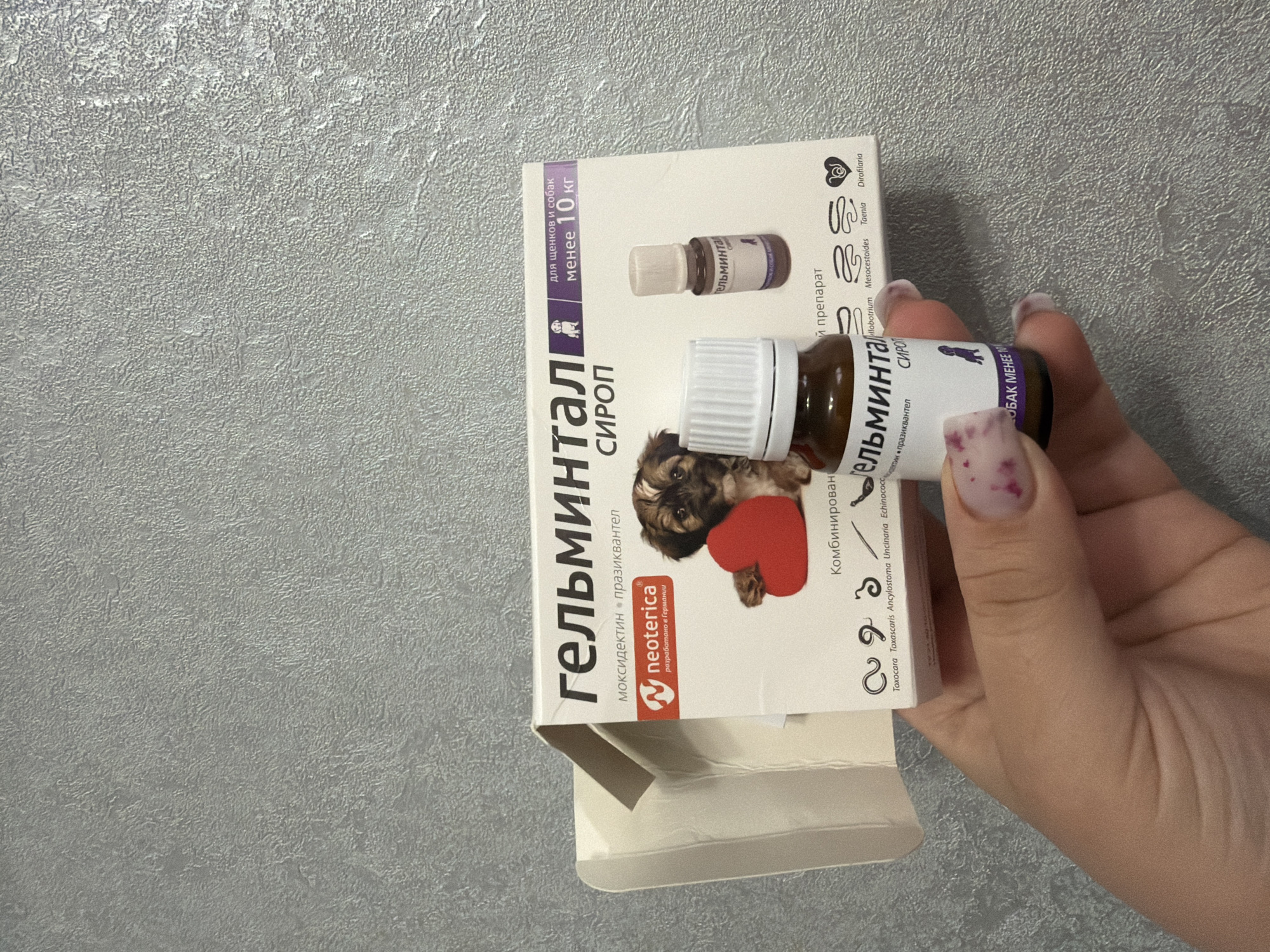 A close-up, overhead shot shows a person's hand holding a small, brown glass bottle with a white cap, and a partially opened box of "Гельминтал" (Gelmental) dog dewormer. The box is white with red and black text and features an image of a puppy holding a red heart. The bottle has a white label with black text, also reading "Гельминтал" and "СИРОП" (syrup). A second, identical bottle of the dewormer is visible inside the box. The background is a textured, gray surface, possibly a wall or countertop. The image does not contain any information about the city of Chaikovsky, Russia, or any specific location details.