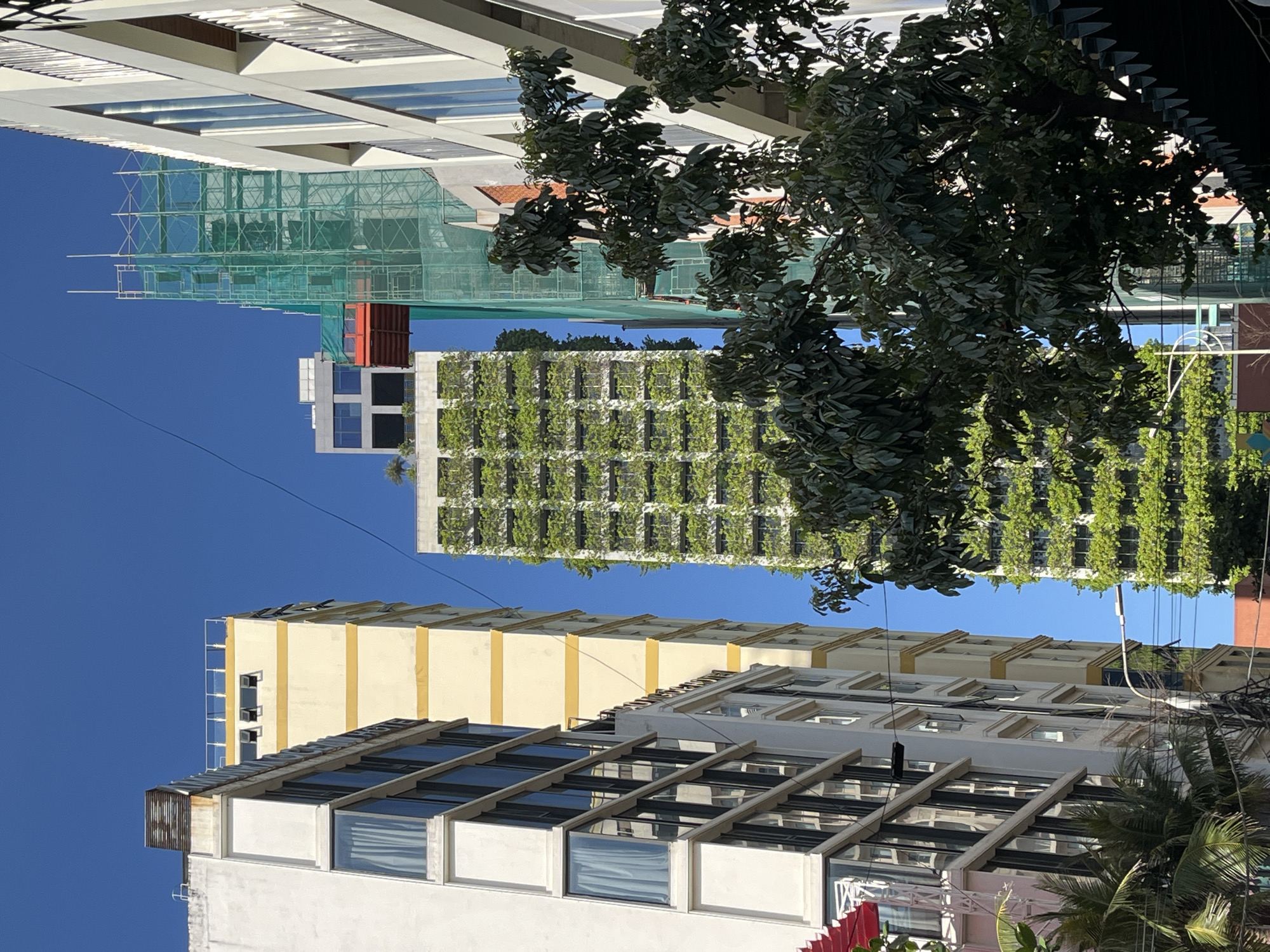 The image shows a cluster of buildings in Đà Nẵng, Vietnam, viewed from a low angle. The sky is clear and blue. One building is a high-rise structure with a green facade, covered in plants. Another building is under construction, with scaffolding and green netting. Other buildings have a mix of modern architectural styles, with visible windows and yellow exterior paint. A tree with dense foliage partially obscures the view.