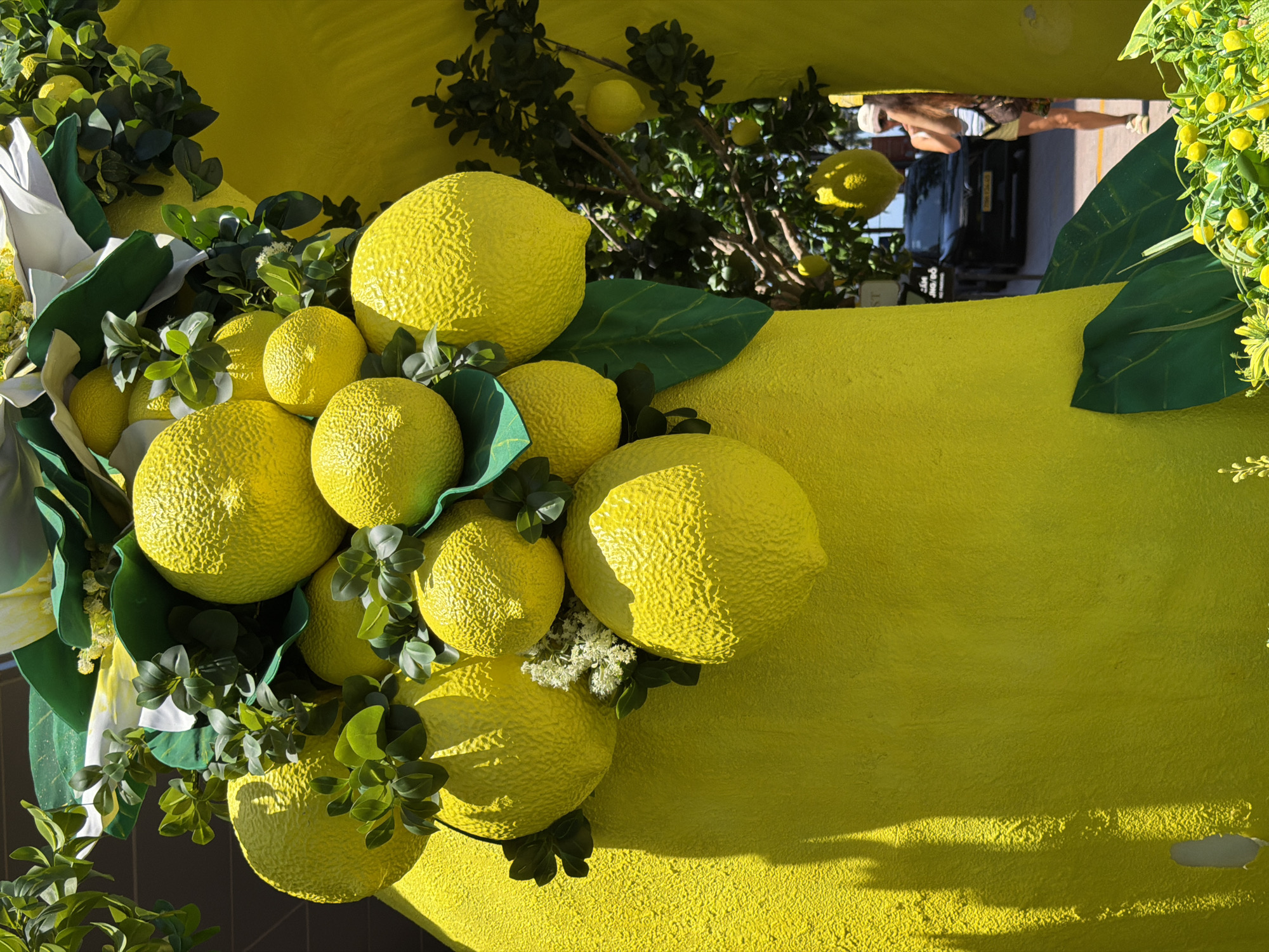 The image depicts a vibrant display of large, artificial lemons, leaves, and greenery mounted on a rough, textured yellow surface. A cluster of these artificial lemons, with their characteristic bumpy texture, is concentrated on the left side of the frame. To the right, the textured yellow background extends. In the background, a tree bearing real lemons is visible. Reflected above is a person, car and surrounding environment.
While the location information suggests Nha Trang Ward, Vietnam, the image's focus is on the artificial lemon display.