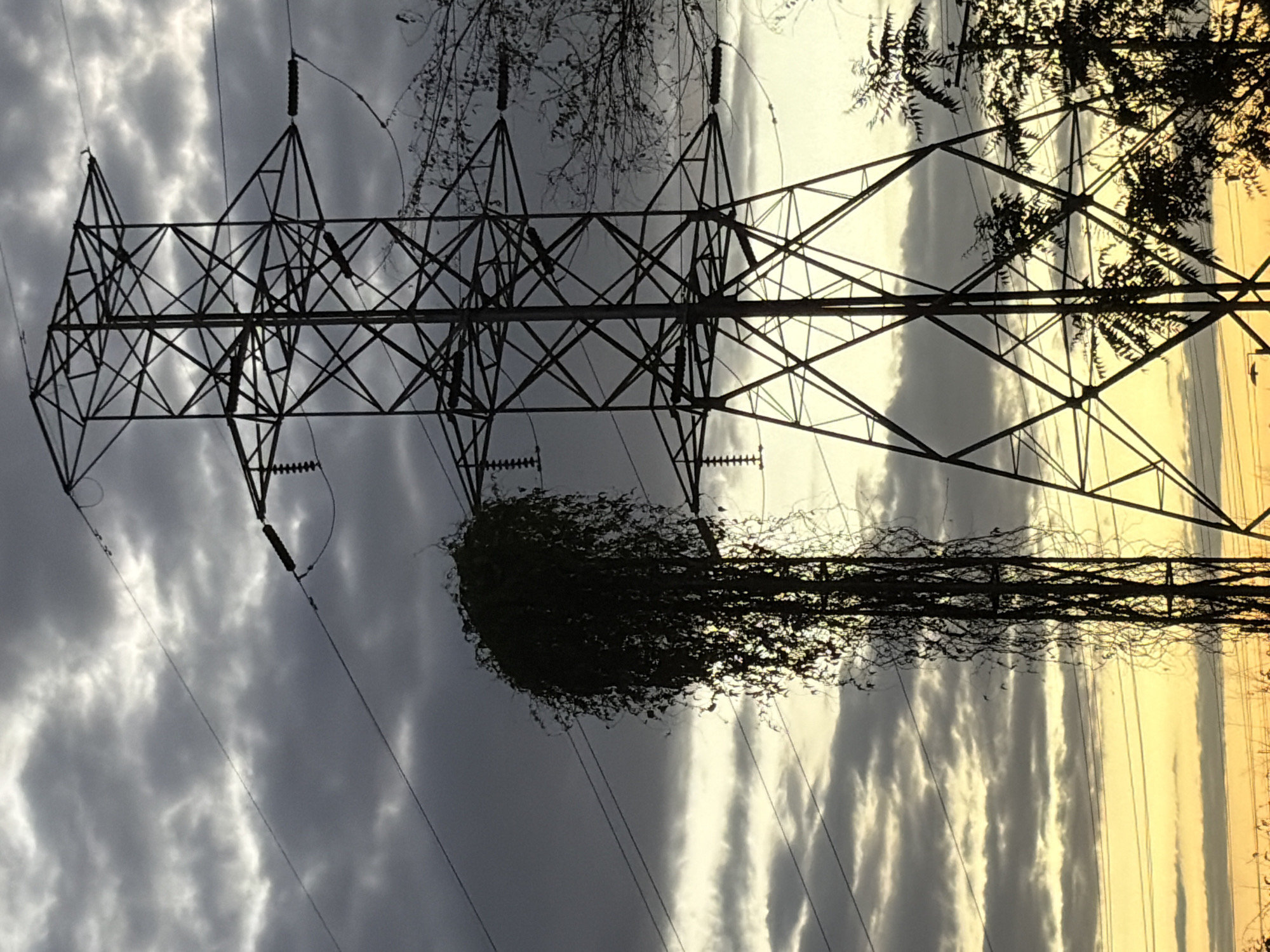 The image shows a metal electricity pylon silhouetted against a sky with a distinct color gradient, transitioning from dark grey and white clouds on the left to a yellow-orange hue on the right. The pylon is heavily overgrown with vegetation, forming a dense, spherical mass around its mid-section and trailing downwards. Power lines extend horizontally across the frame. There are no people visible. The location is stated to be Ciudad Guayana, Venezuela, but there is no indication of the location of this tower with these images.