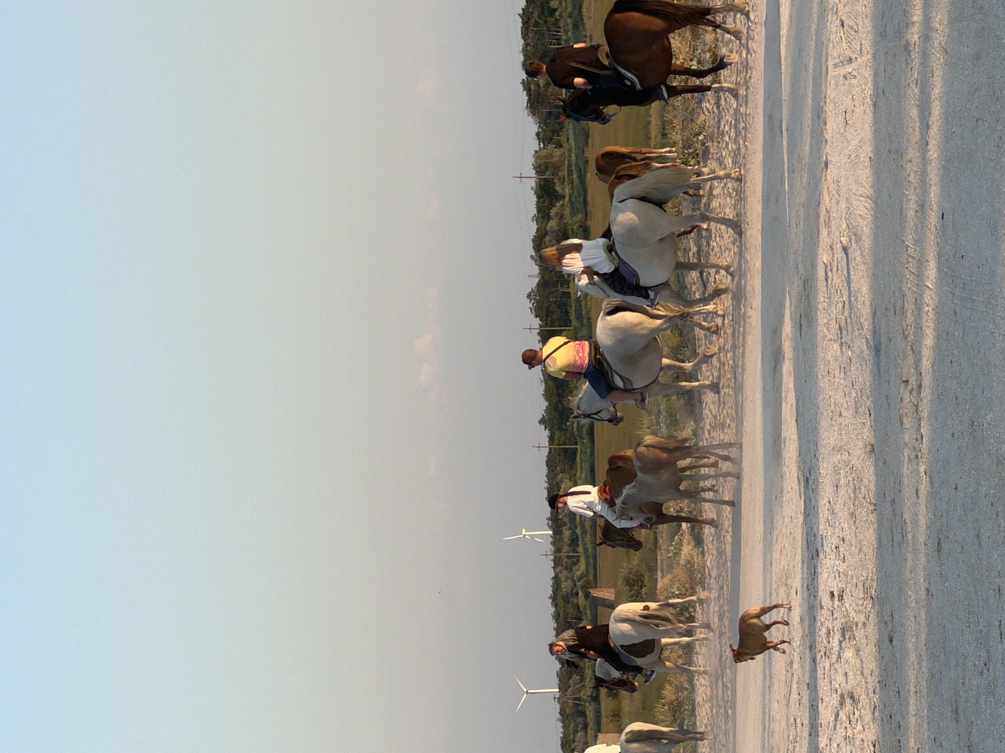 A group of people are riding horses on a dirt road. The scene is outdoors during the day, with a clear sky and sunlight casting shadows. The horses are of various colors, including brown and white, and some are pulling carts. The people are dressed casually. In the background, there are trees and a few wind turbines. A dog is also visible on the road, running alongside the horses. The overall mood appears to be relaxed and recreational. The location is identified as Мысовское сельское поселение, Ukraine.