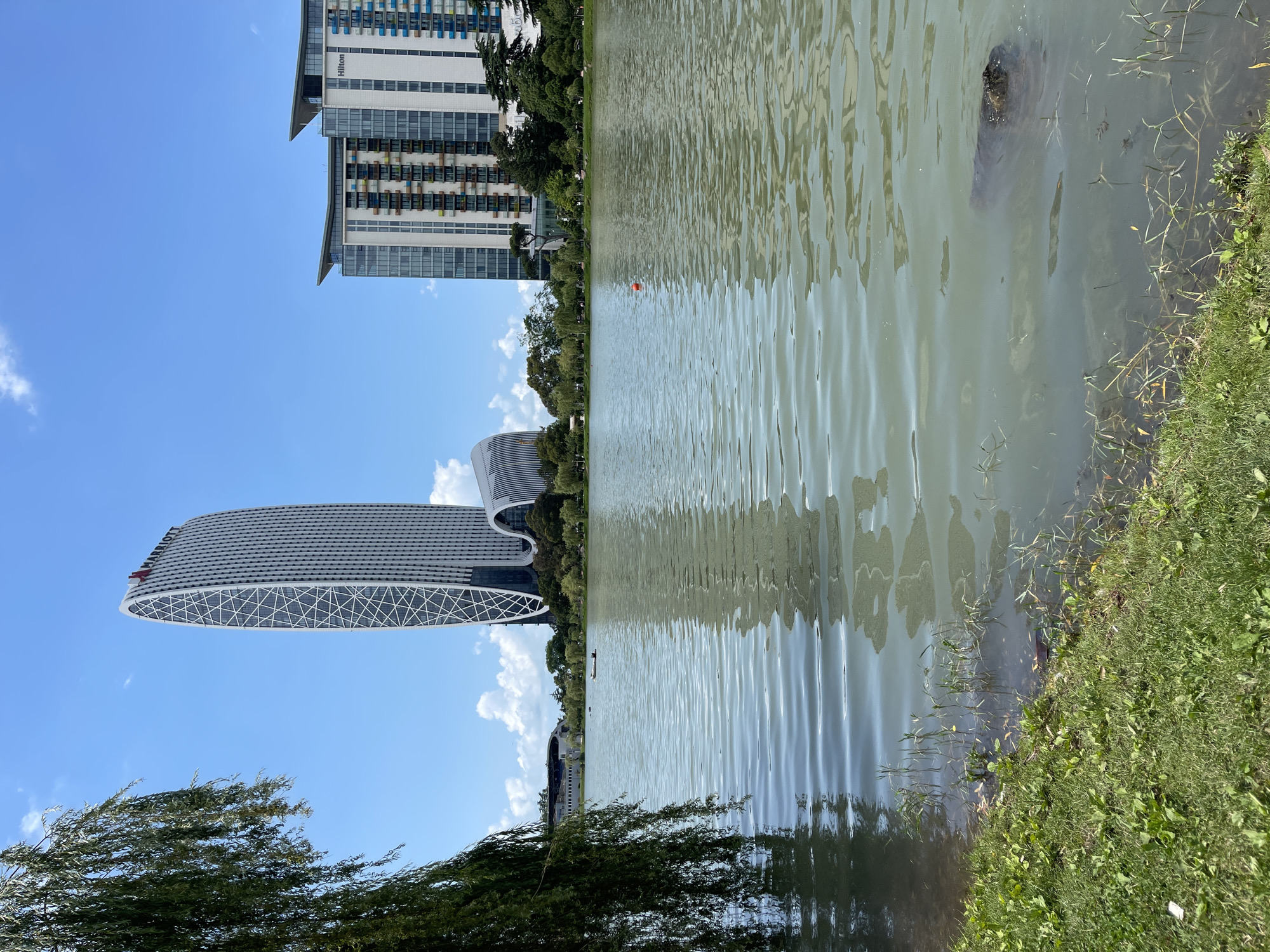 The image captures a scenic view of the New Boulevard in Batumi, Georgia, featuring a tranquil lake in the foreground and modern architecture in the background. The lake's surface is gently rippled, reflecting the bright blue sky dotted with white clouds and the surrounding structures. On the left side of the lake, lush green grass slopes down to the water's edge, with a large willow tree branch hanging into the frame from the upper left.
Dominating the background are two prominent buildings. To the left, a unique, twisting skyscraper with a white facade and a lattice-like pattern stands tall, bearing the "MARRIOTT" logo at its peak. Adjacent to it, and slightly to the right, is a more conventional, multi-story building with a light-colored facade, featuring balconies with colorful railings and the "Hilton" logo visible. Between these two main structures, other buildings and trees form the urban landscape.
In the middle of the lake, a small, white boat is visible, suggesting leisurely activity on the water. A small orange buoy floats further out in the lake. The water itself is a greenish-gray color, with some submerged vegetation and debris visible near the shore. The overall scene conveys a sense of urban modernity harmoniously coexisting with natural elements.