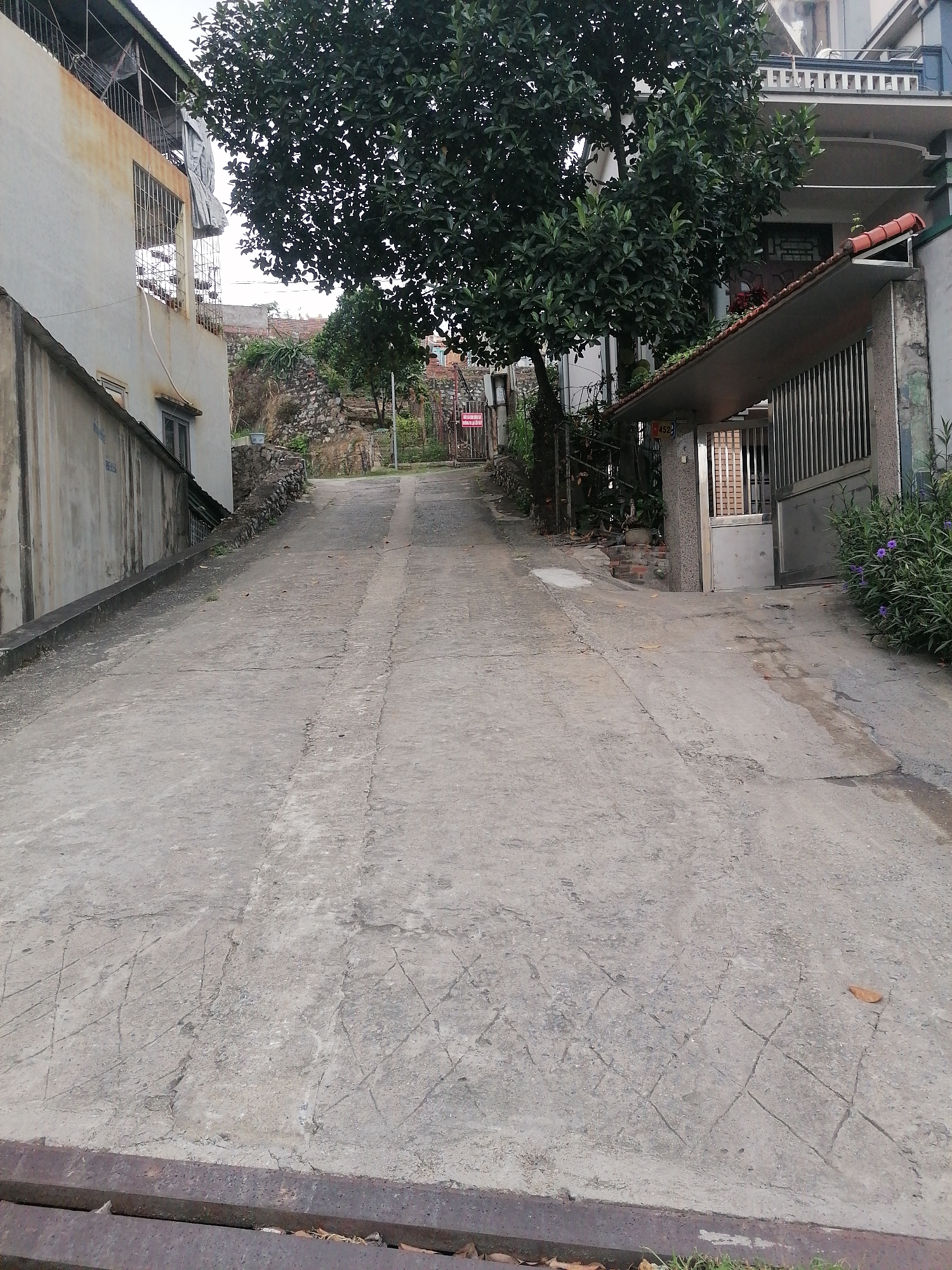 A narrow, sloped concrete road in Ha Tu Ward, Vietnam, is flanked by buildings and greenery. The road ascends slightly, with a building to the left appearing old and faded. A large, leafy tree overhangs part of the road and the building to the right, which has a metal gate. Vegetation is visible along the edges of the road. The foreground features a metal drain. No people are visible. A small sign with Vietnamese text is seen further up the road. The sky is overcast.
